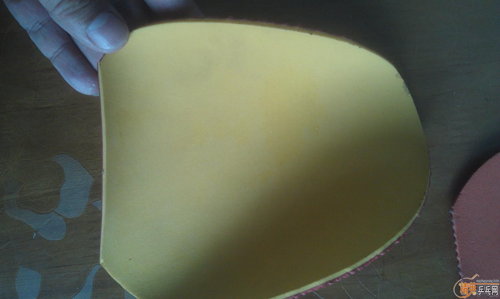 �� ��������רҵ��