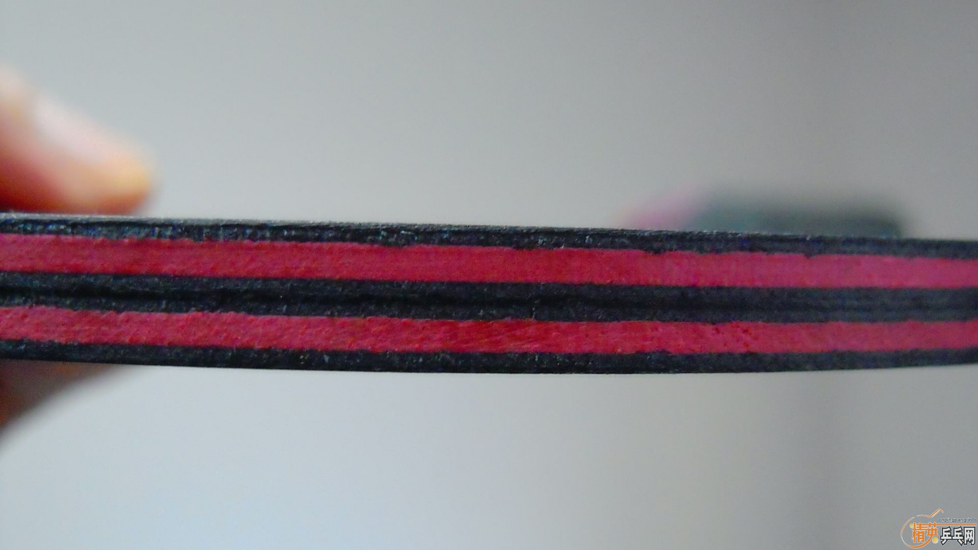 ���� ����˹�ۿ�����̼��FL����91�ˣ�900���ʣ��������飡