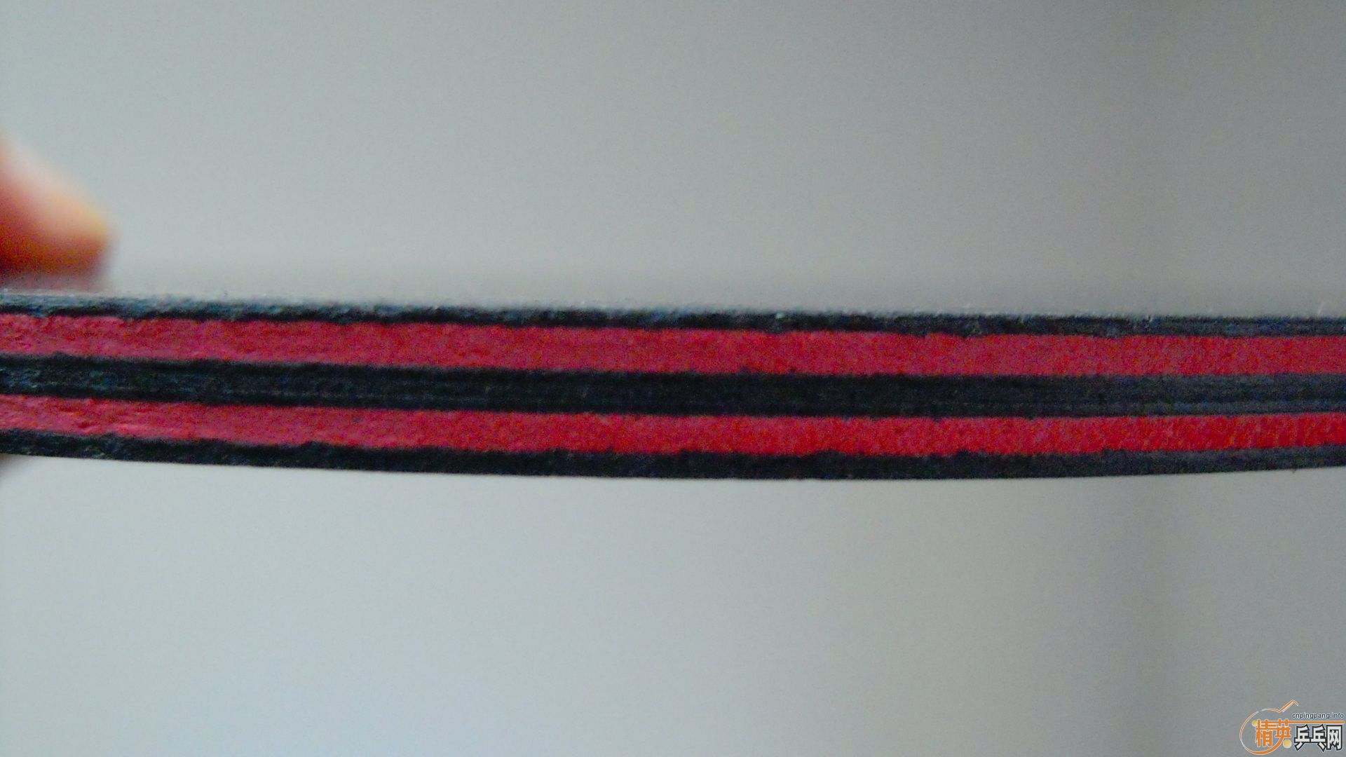 ���� ����˹�ۿ�����̼��FL����91�ˣ�900���ʣ��������飡