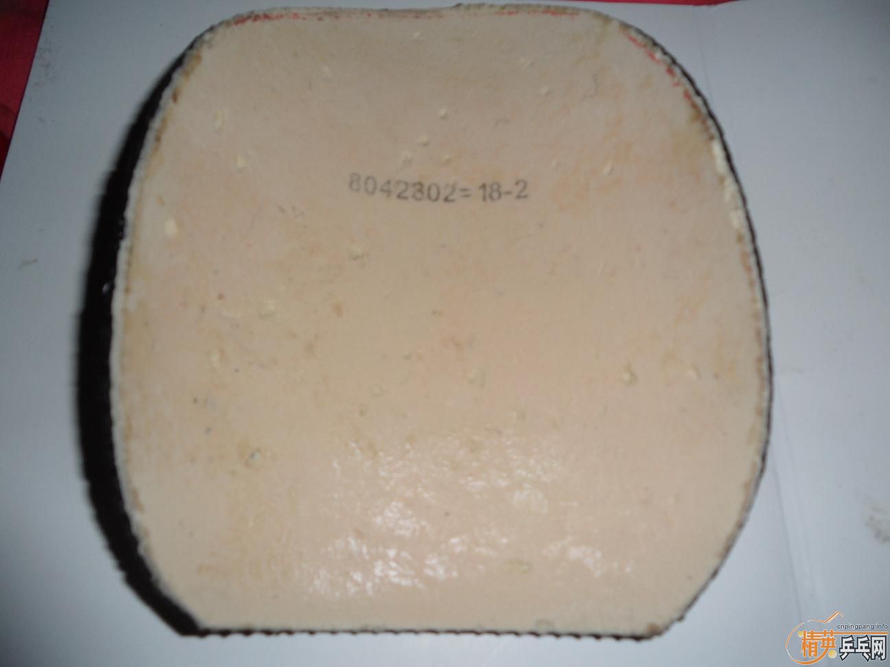 ������������������׽���ֱ�ᶼ�У������������ף�JO�����塢�� ��̤��EL��