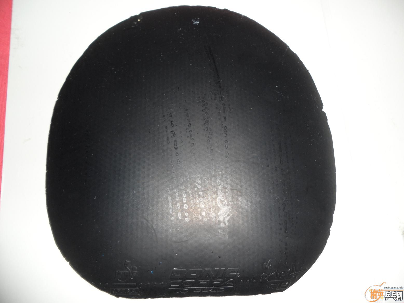 ������������������׽���ֱ�ᶼ�У������������ף�JO�����塢�� ��̤��EL��