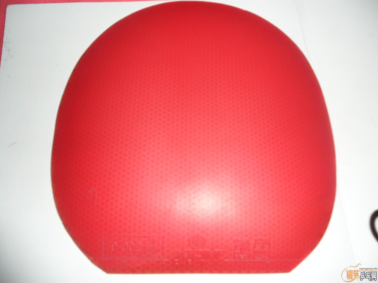 ������������������׽���ֱ�ᶼ�У������������ף�JO�����塢�� ��̤��EL��