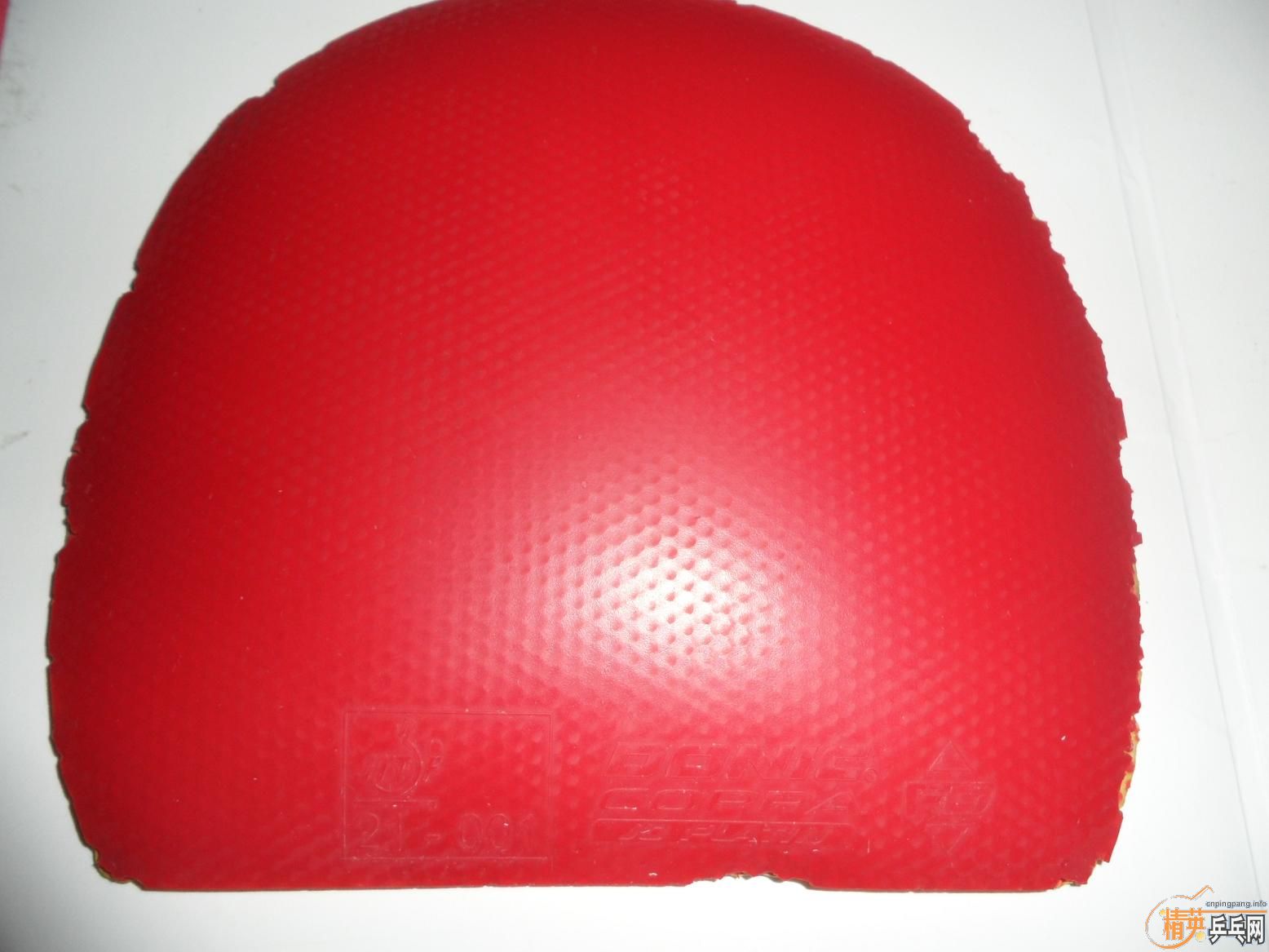 ������������������׽���ֱ�ᶼ�У������������ף�JO�����塢�� ��̤��EL��