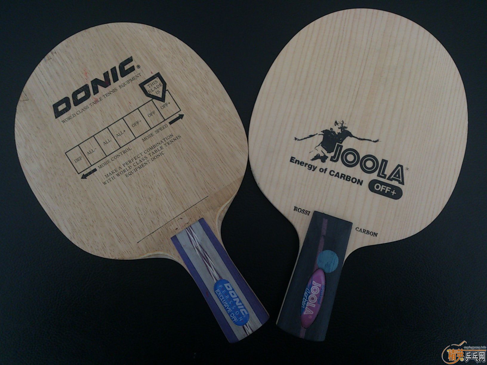 [ע��][ԭ��]460����2ֻ99��Ʒ��һ�����ӣ�������˹��������������ɭ��ľ��������