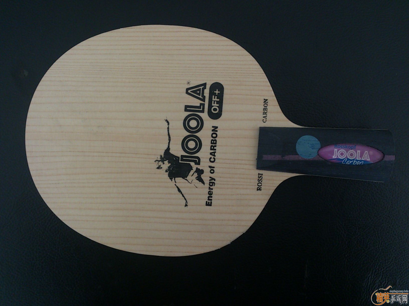 [ע��][ԭ��]460����2ֻ99��Ʒ��һ�����ӣ�������˹��������������ɭ��ľ��������