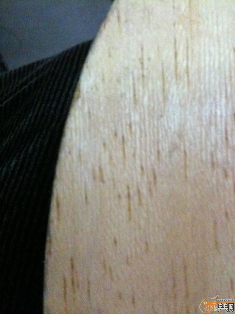 ���ѹ����߶���ά���ӽ���V3��FL��