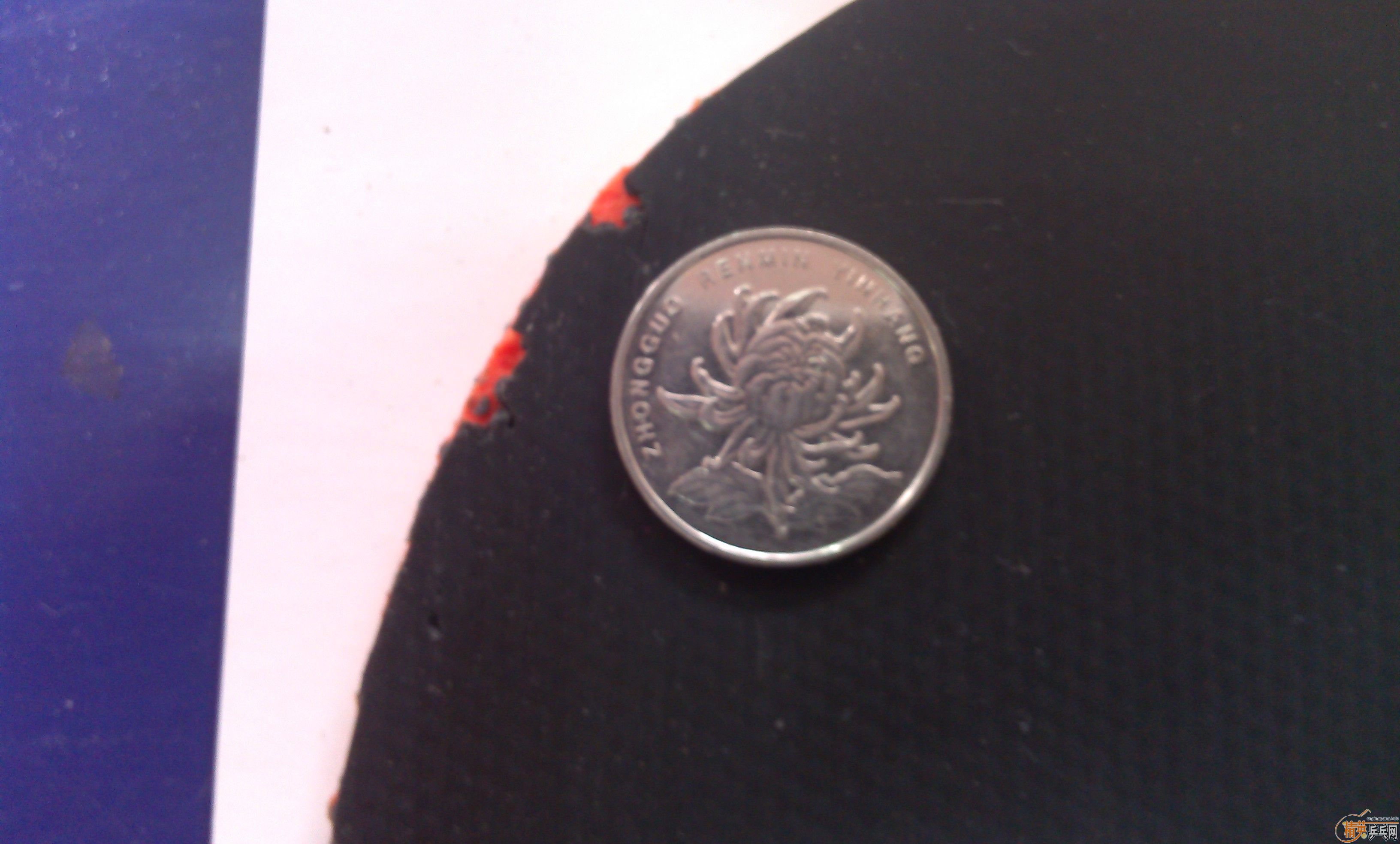 ��ɫ�ܺõ�T05��F1�����湻��