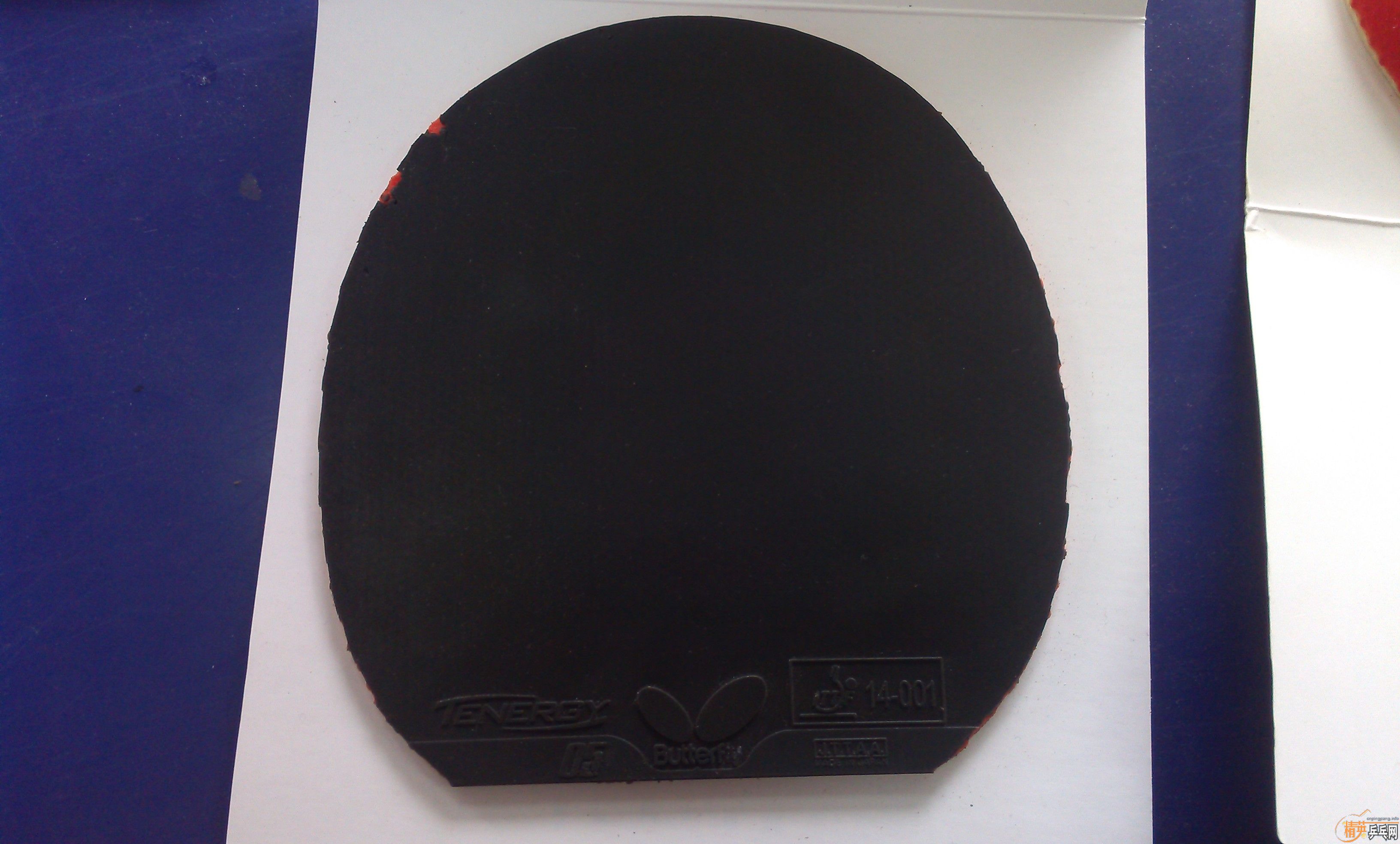 ��ɫ�ܺõ�T05��F1�����湻��