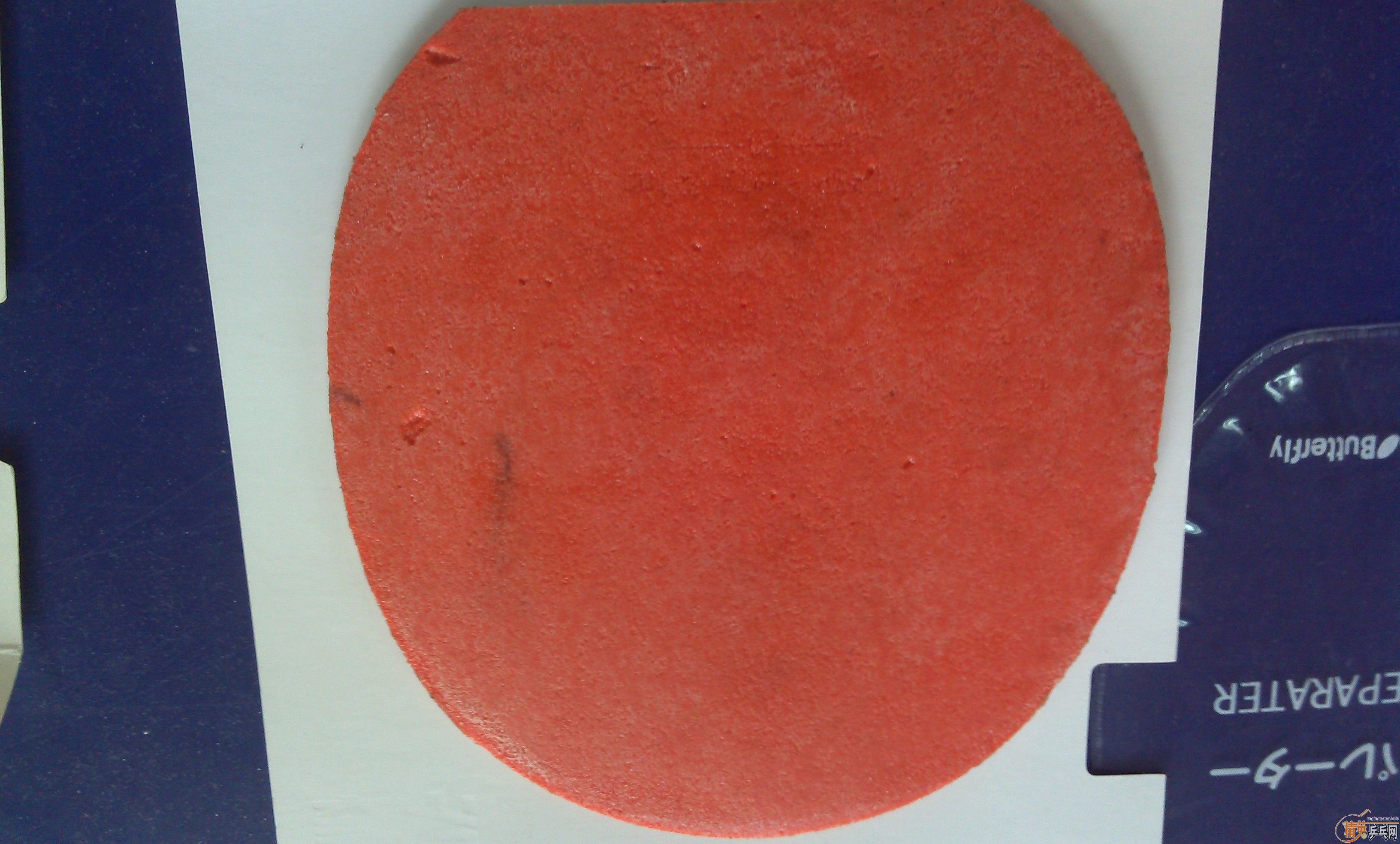 ��ɫ�ܺõ�T05��F1�����湻��