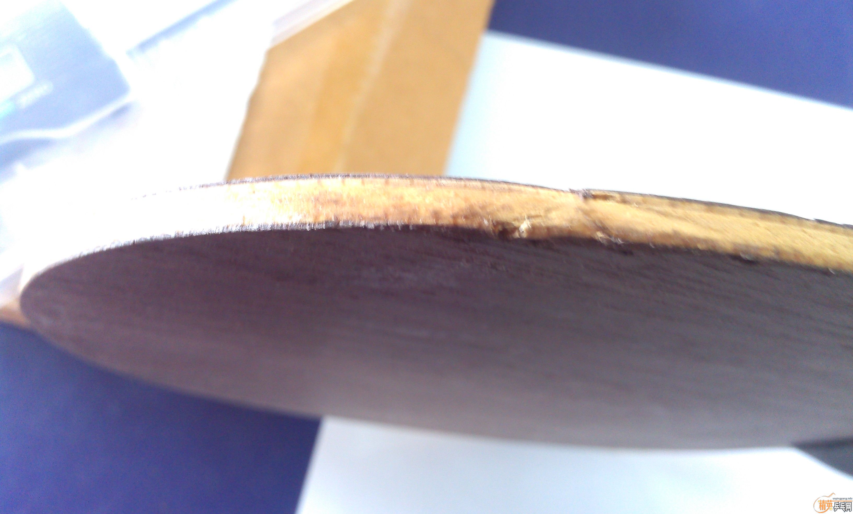 �����ִ�˦����2009���л������һֻ��420Ԫ����ȫ����