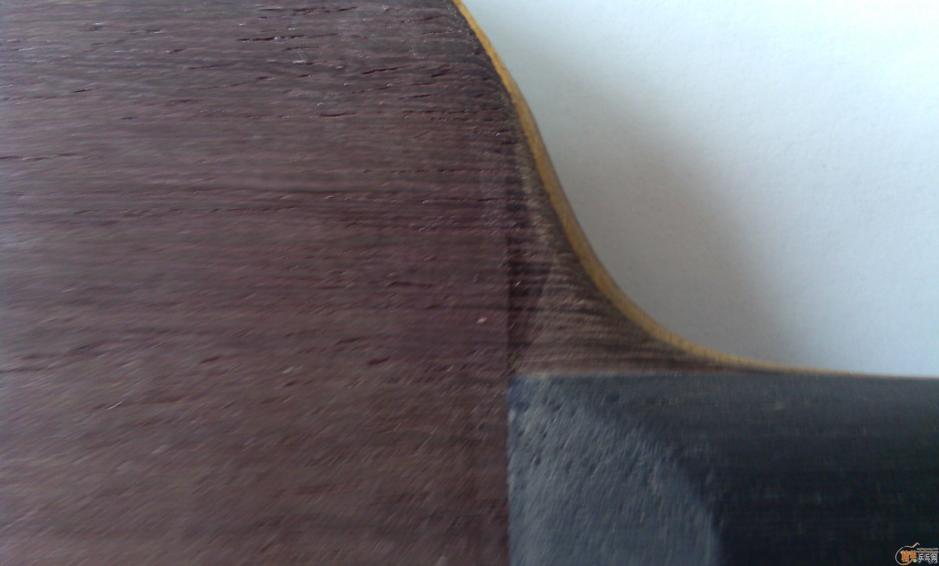 �����ִ�˦����2009���л������һֻ��420Ԫ����ȫ����