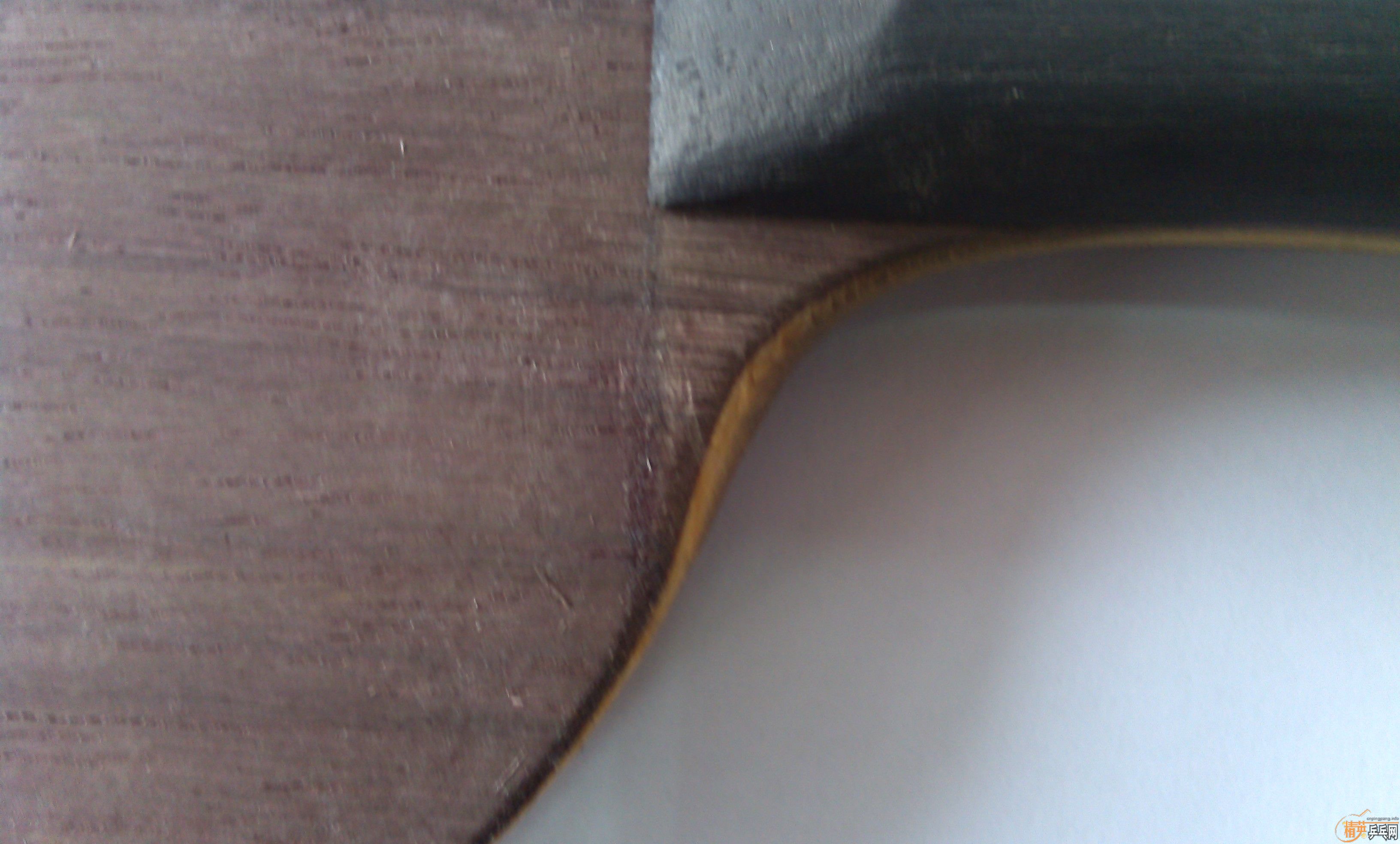 �����ִ�˦����2009���л������һֻ��420Ԫ����ȫ����