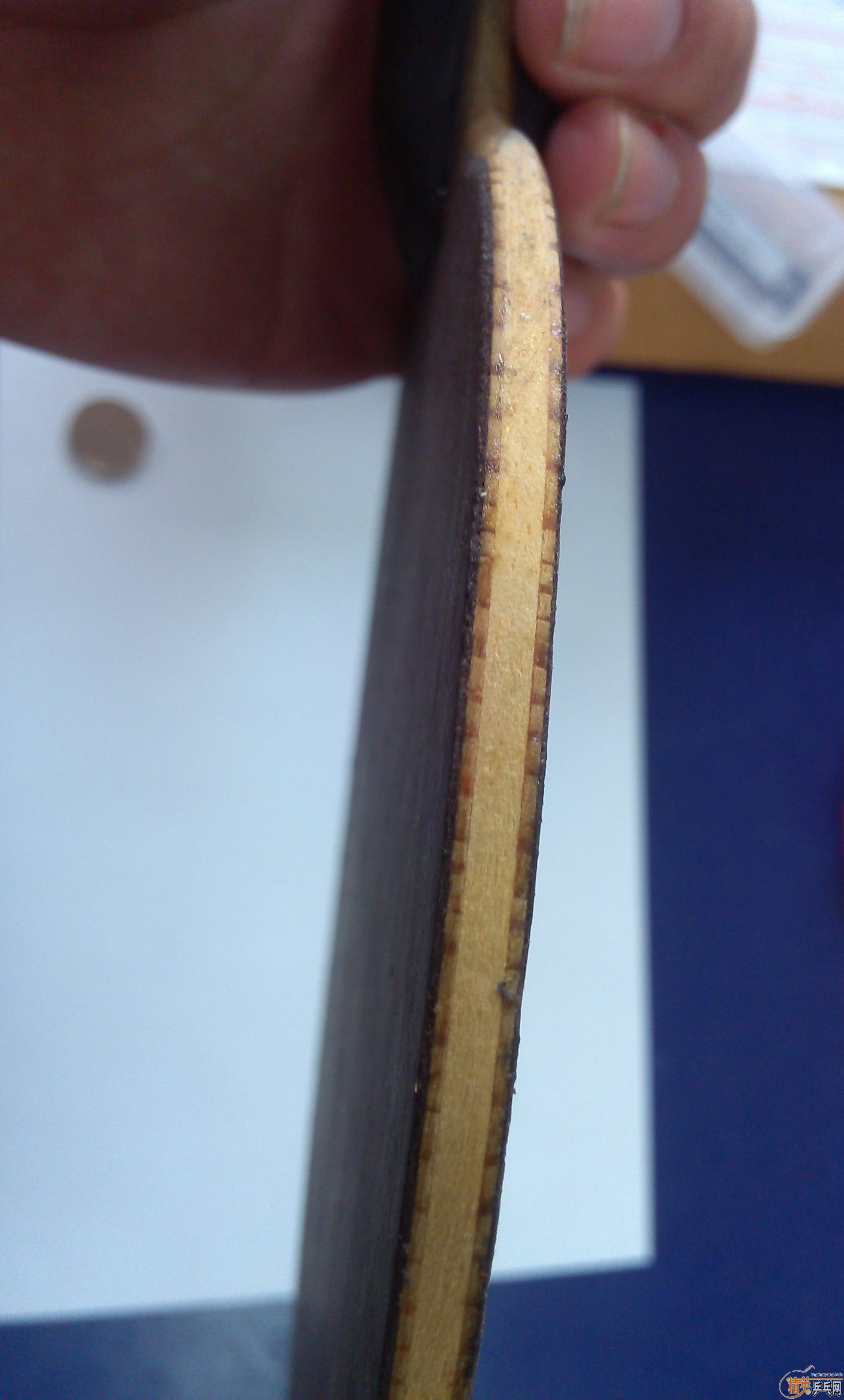 �����ִ�˦����2009���л������һֻ��420Ԫ����ȫ����