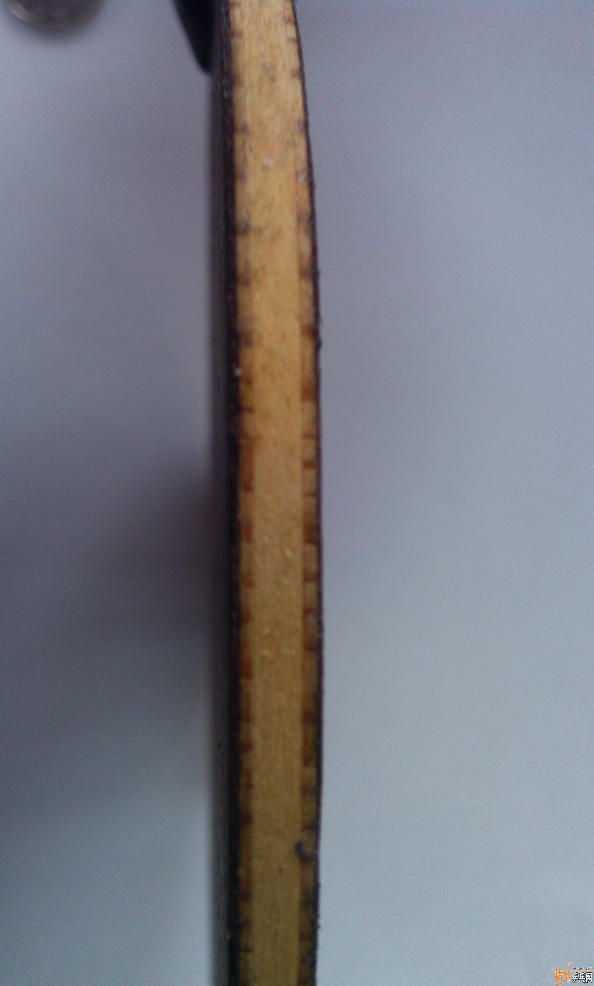 �����ִ�˦����2009���л������һֻ��420Ԫ����ȫ����