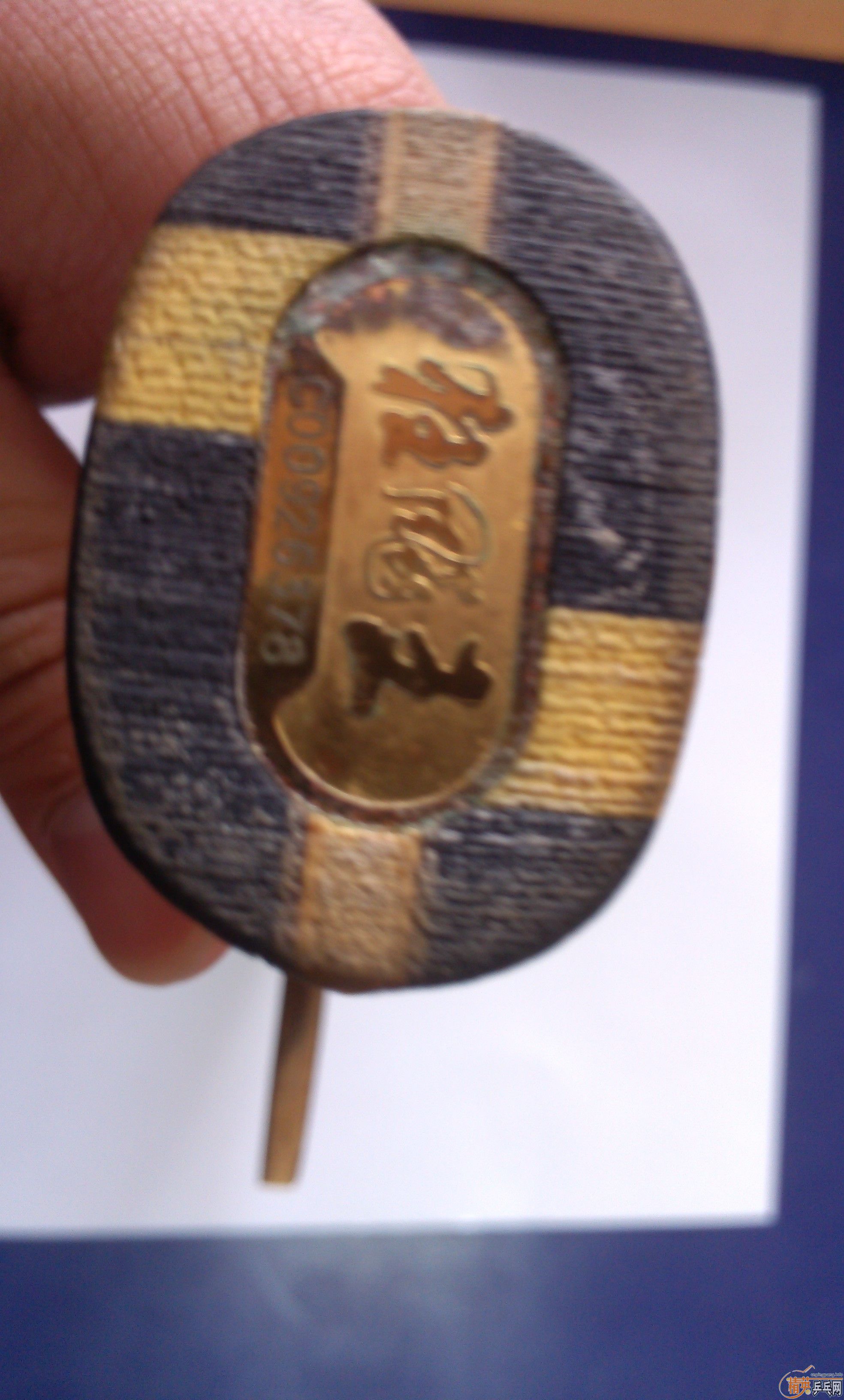 �����ִ�˦����2009���л������һֻ��420Ԫ����ȫ����