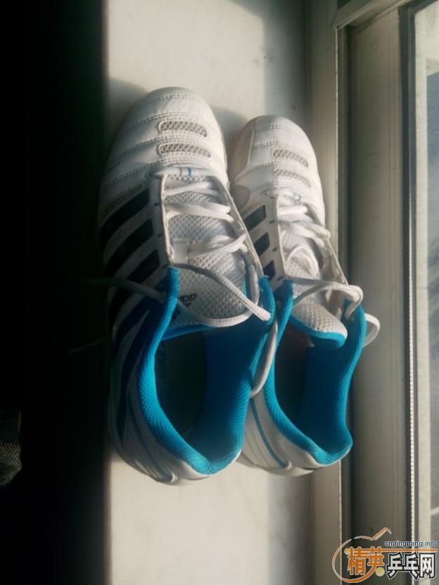 [ԭ��]�۶���Adidasƹ����Ь