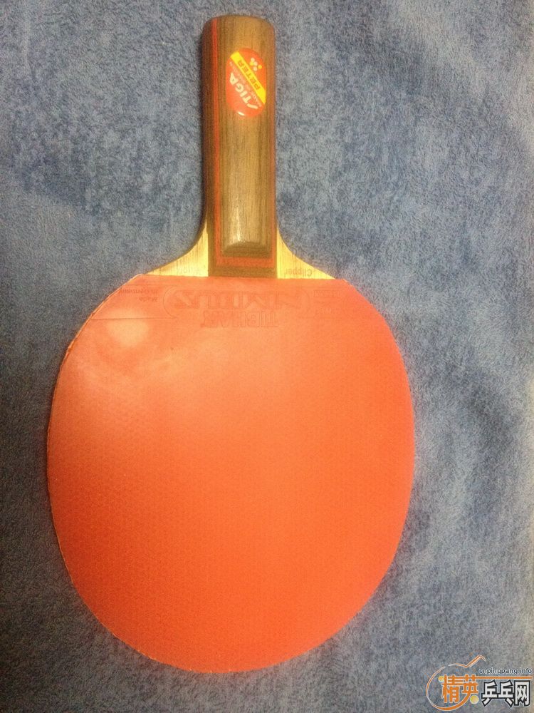 ϻƱCL ST|boll T5000ST ŷ|STIGA ̼FLŷ|