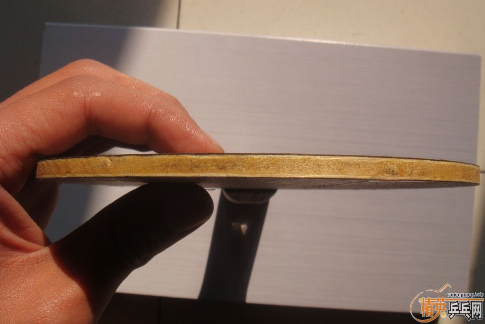 ��֧��������2ֱ�壬Stiga ���7.6���л�������5.4(ŷ��)~~~~~~~~~~~~~~~~~~~~~