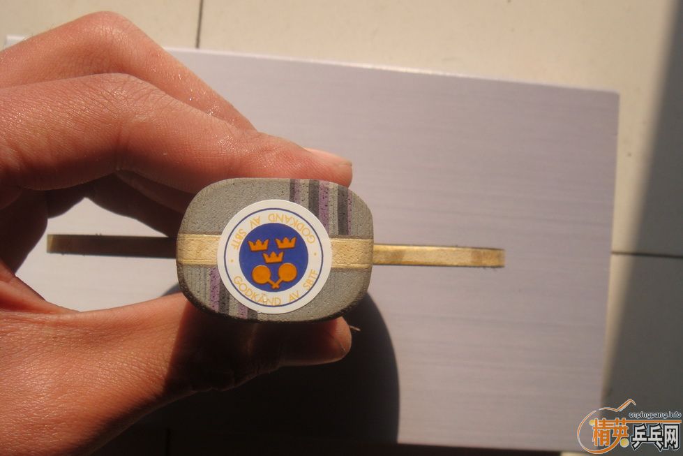 ��֧��������2ֱ�壬Stiga ���7.6���л�������5.4(ŷ��)~~~~~~~~~~~~~~~~~~~~~