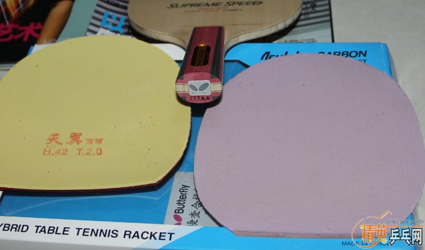 ����ʮ���������