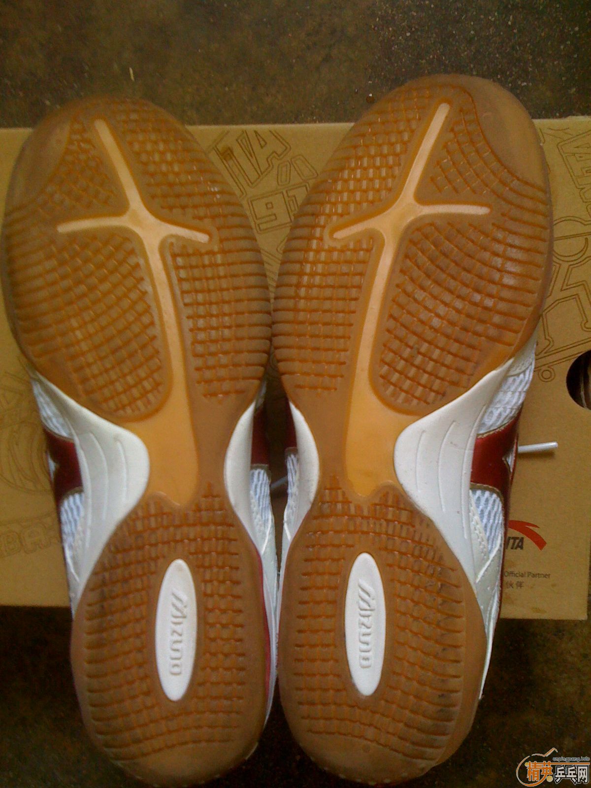 ת����ŨЬ��֧����������һ�Σ�40.5��