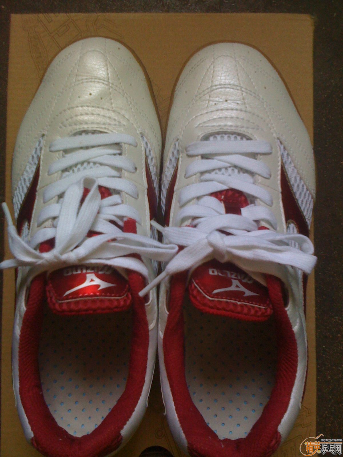 ת����ŨЬ��֧����������һ�Σ�40.5��