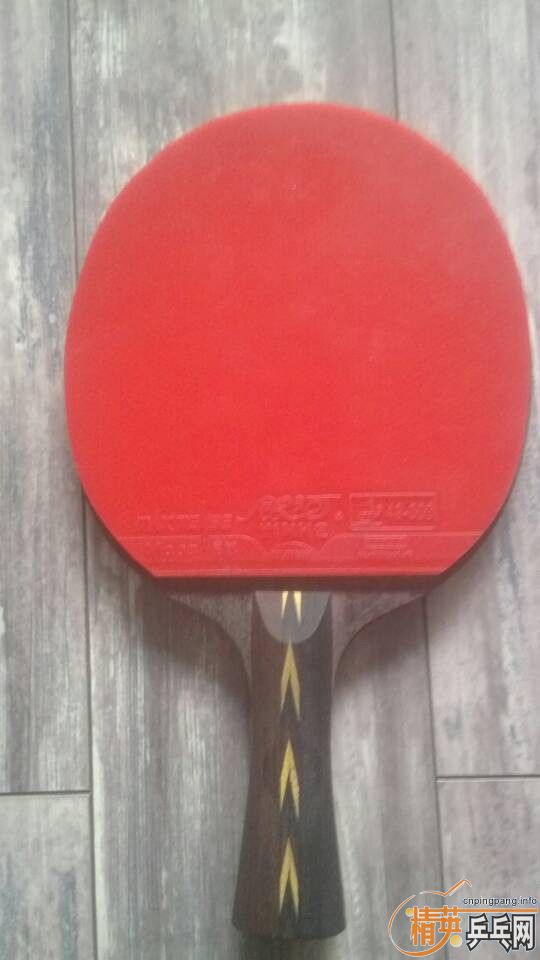 ���������12������������г��棩 ʡ��  ����