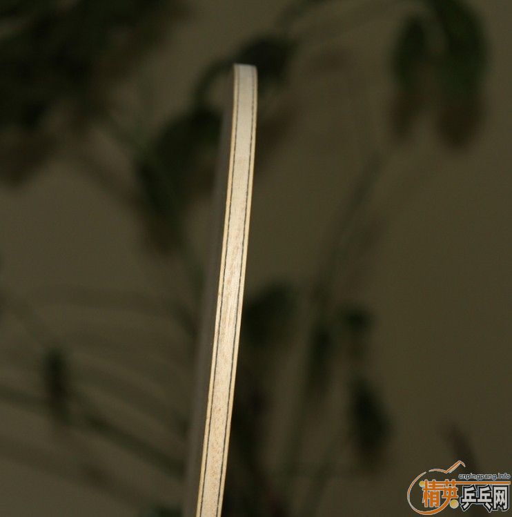 ���������� ���� ˹�ٿ� ����...............................