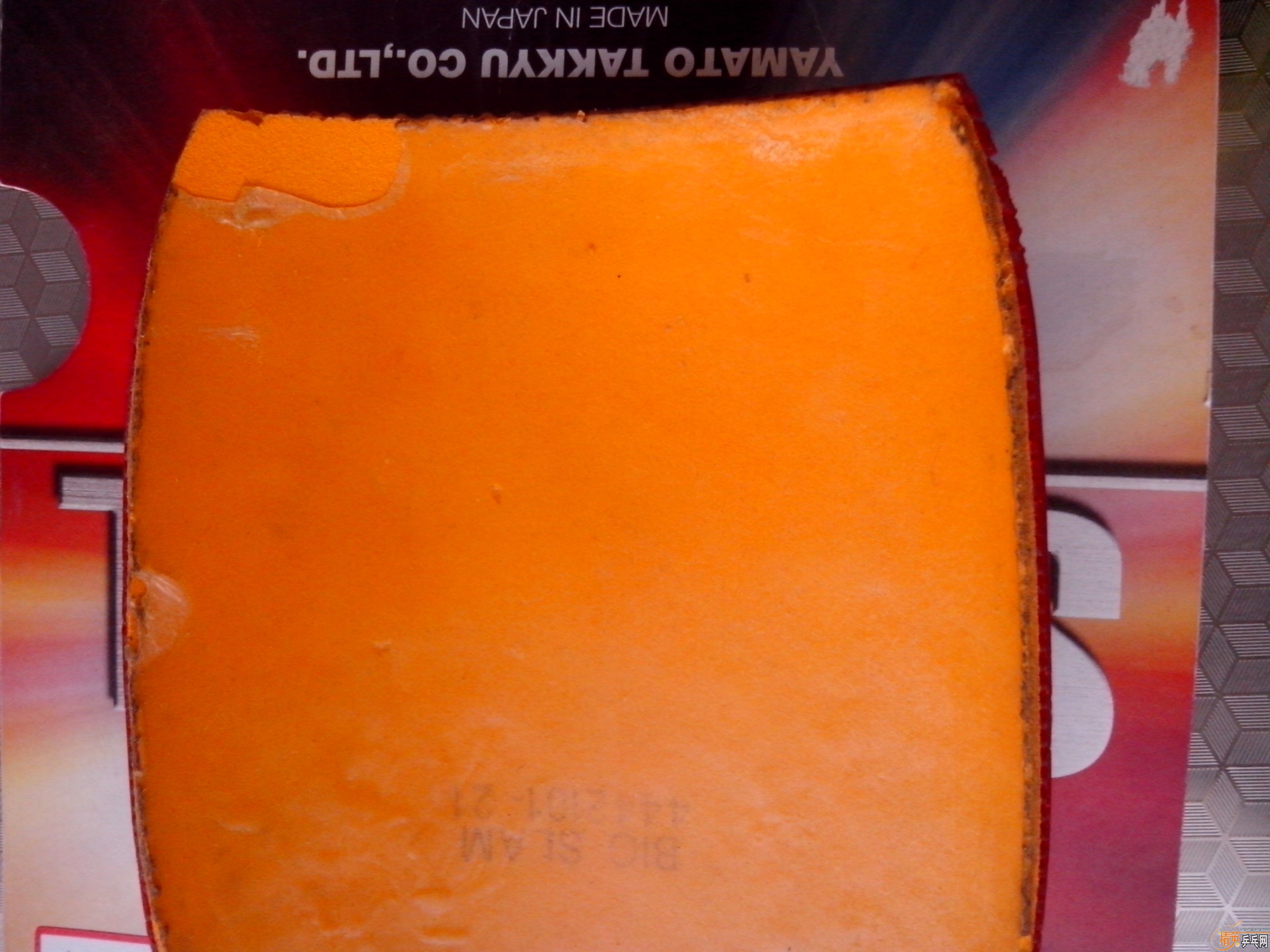 [����]6���׽���һ��Ψ���й������ֱ�׽�����ɫTSP�����ѳ�