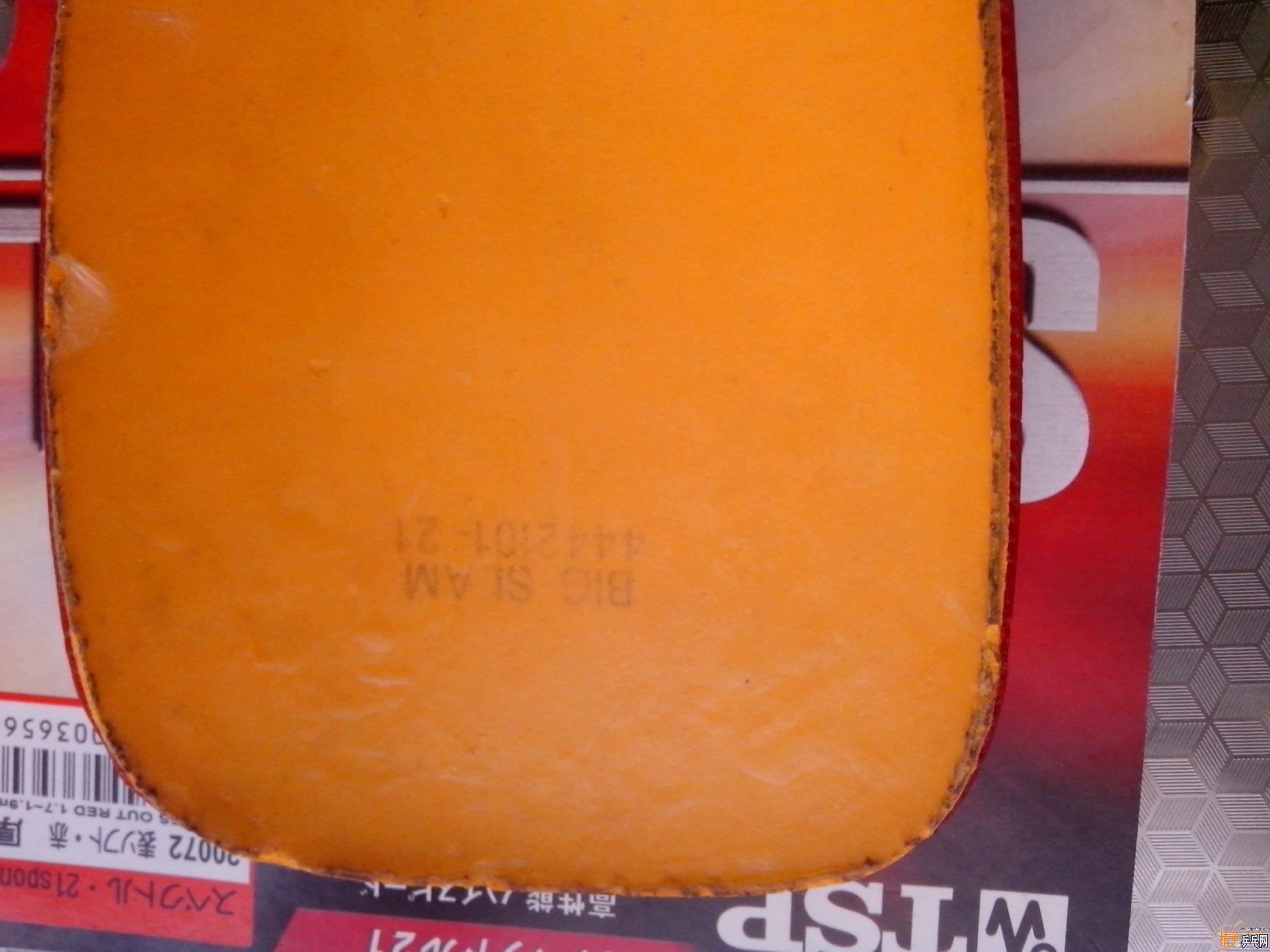 [����]6���׽���һ��Ψ���й������ֱ�׽�����ɫTSP�����ѳ�