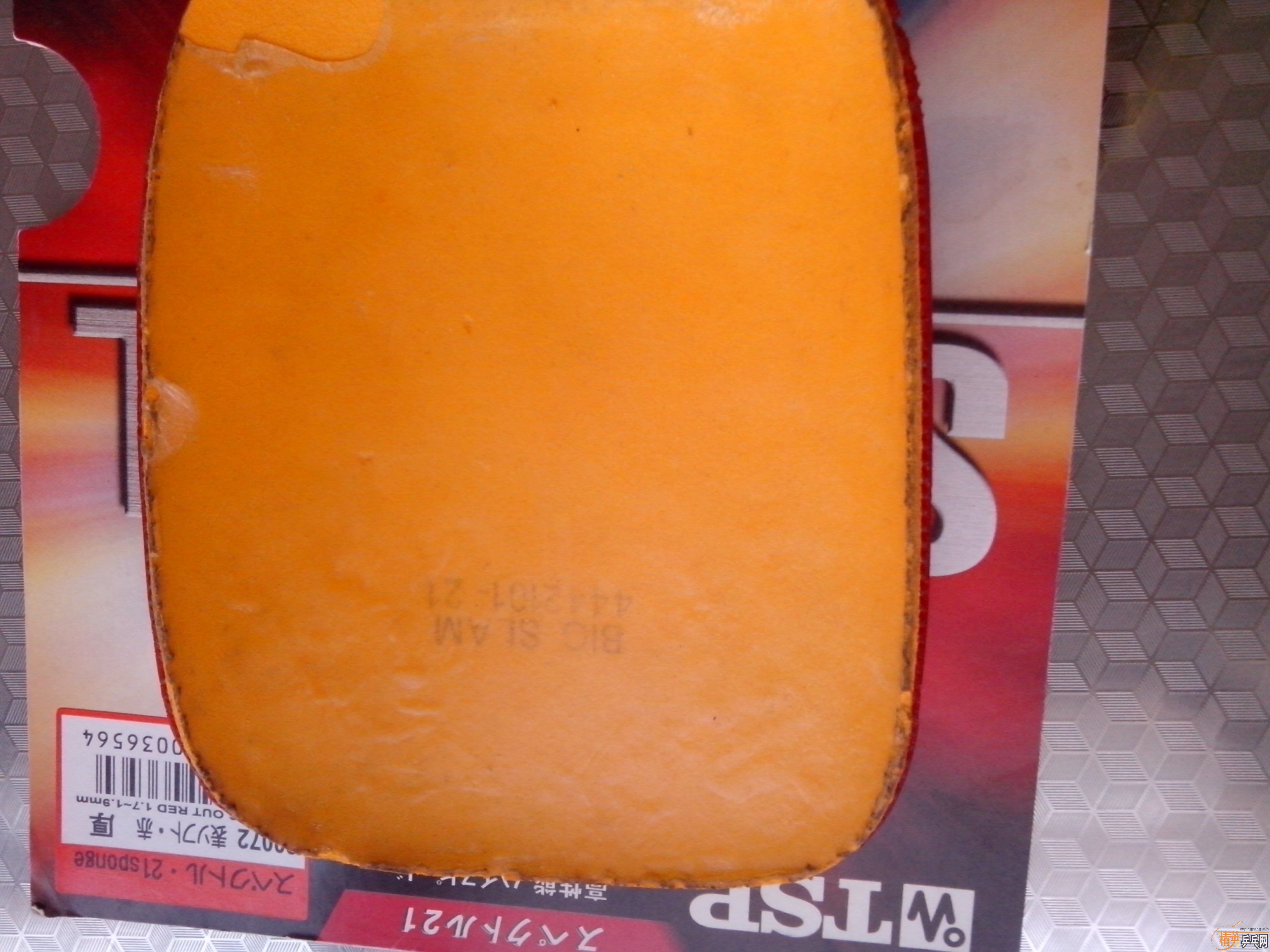 [����]6���׽���һ��Ψ���й������ֱ�׽�����ɫTSP�����ѳ�