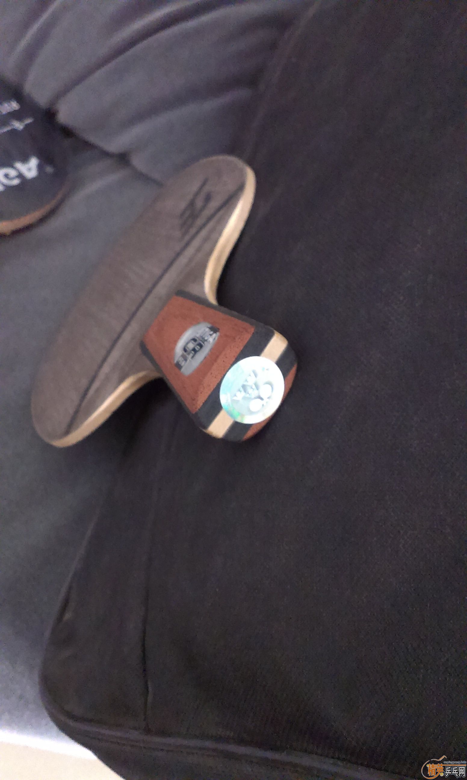 �ٳ�һֻʵ�ı��л�OC-CR����ɫ�£�