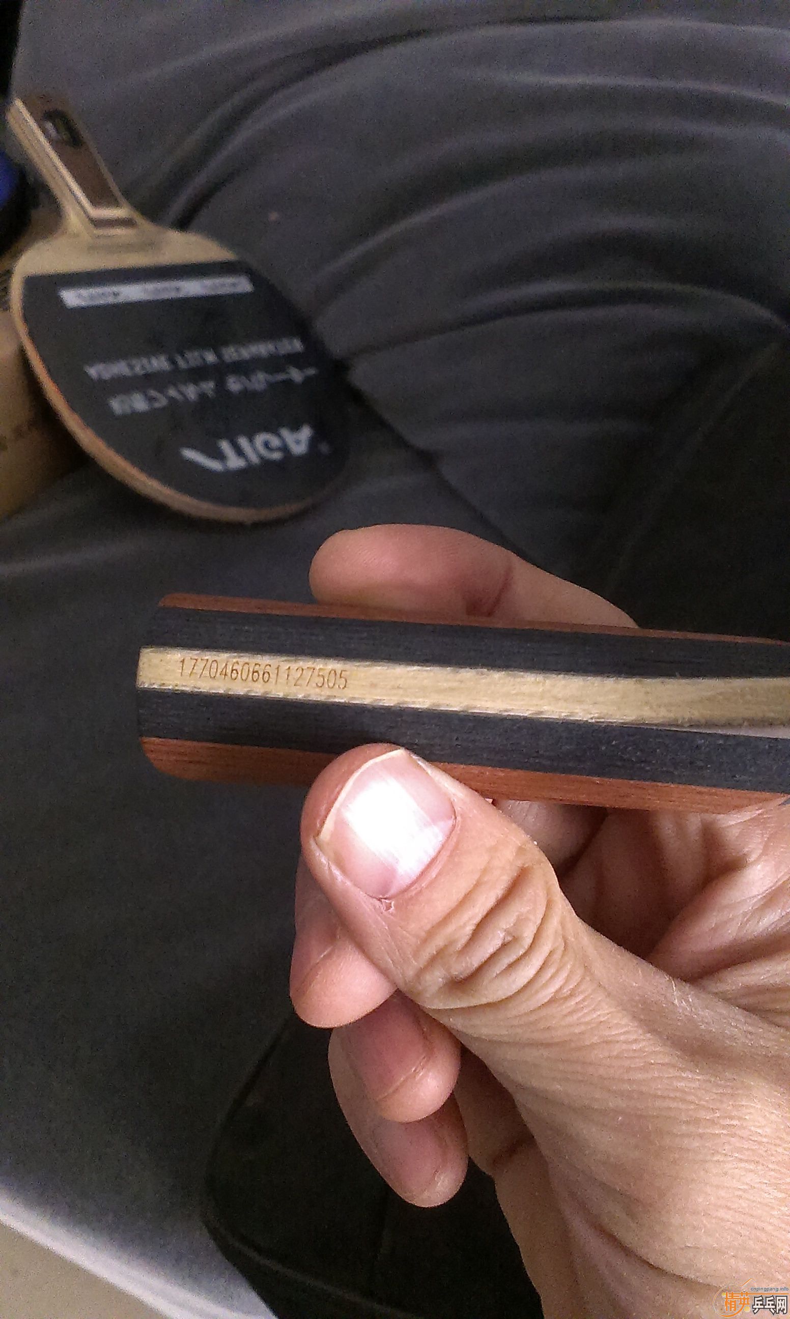 �ٳ�һֻʵ�ı��л�OC-CR����ɫ�£�