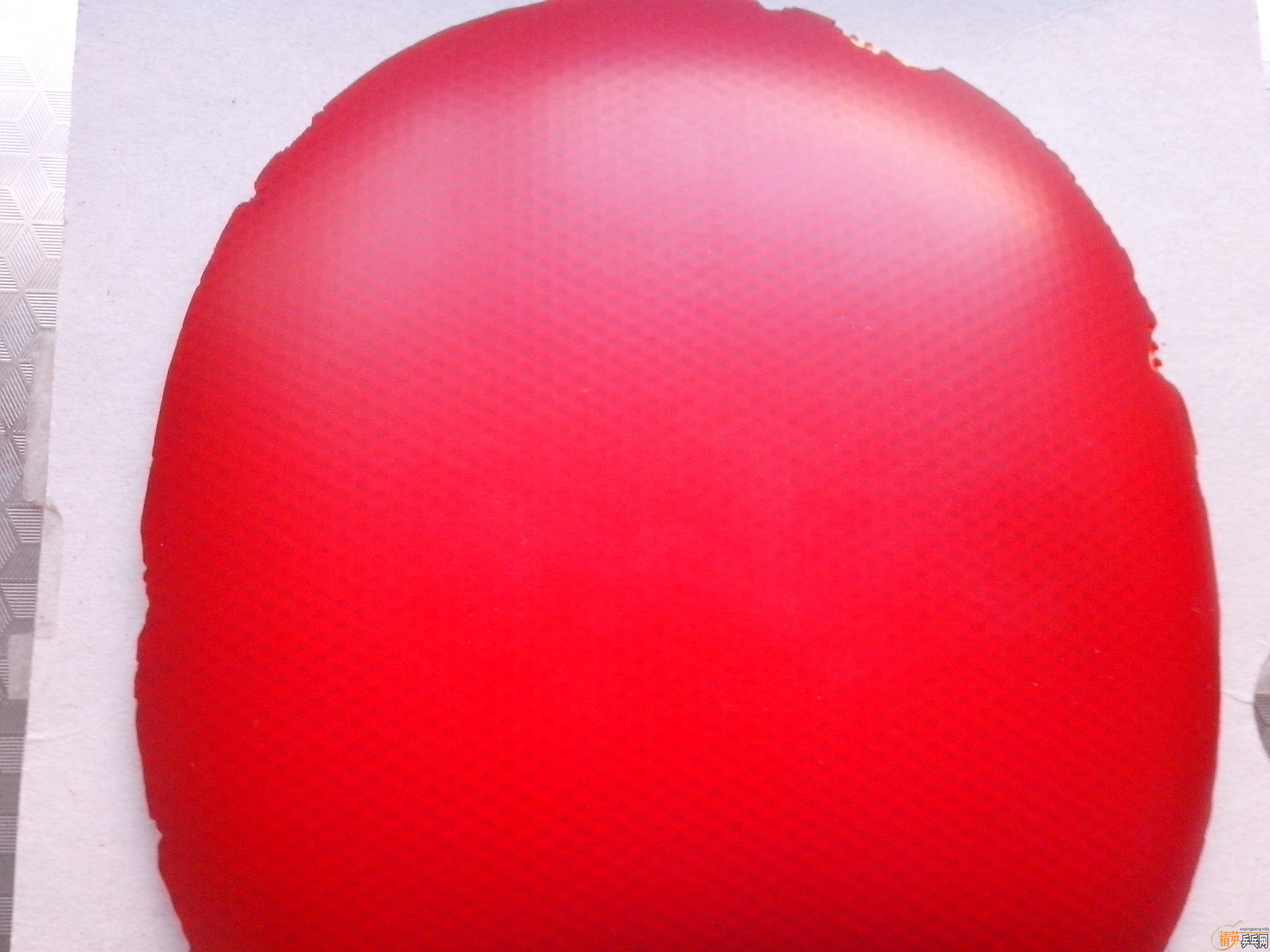 ��������S-1������450�׽�