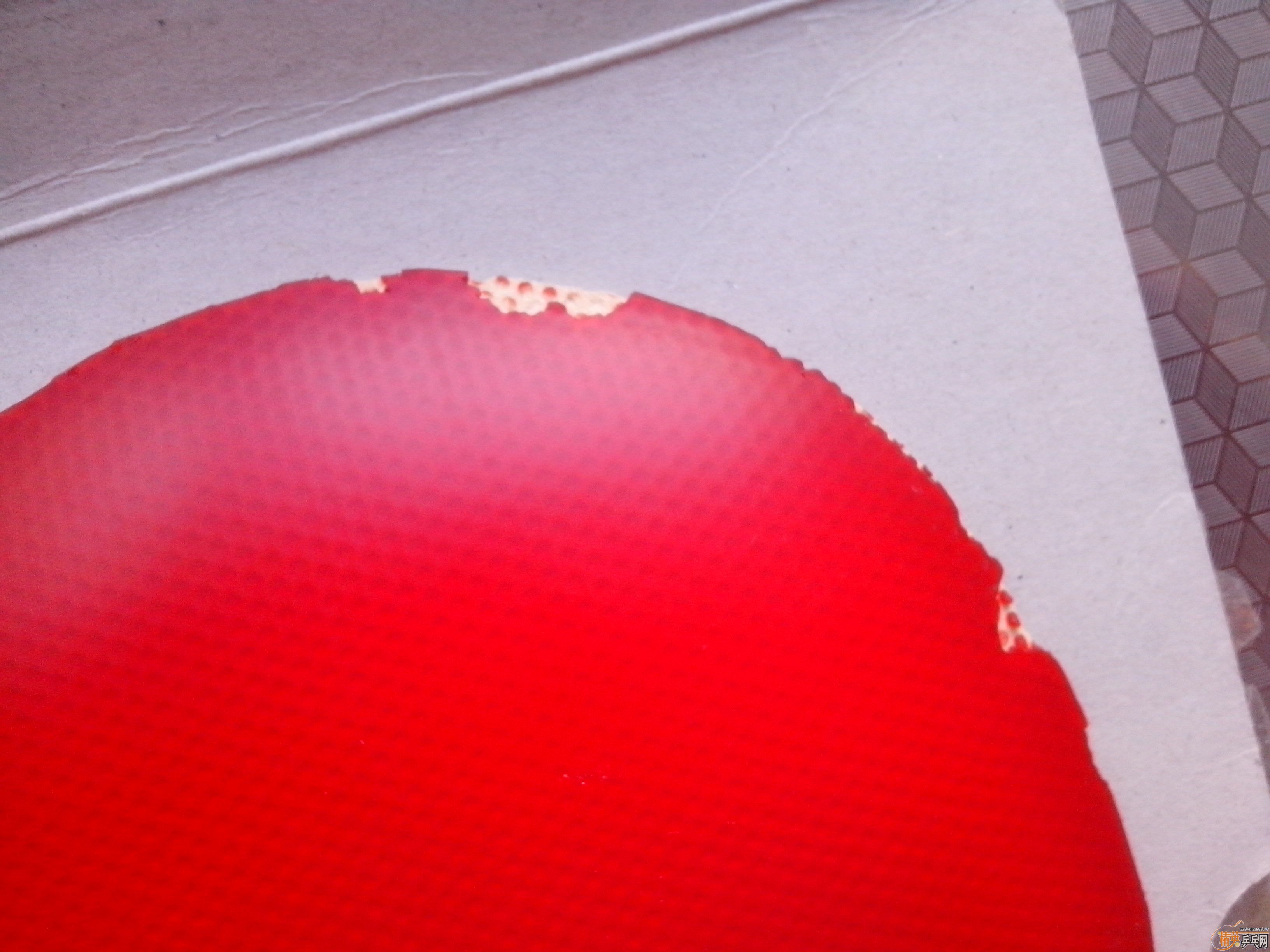 ��������S-1������450�׽�