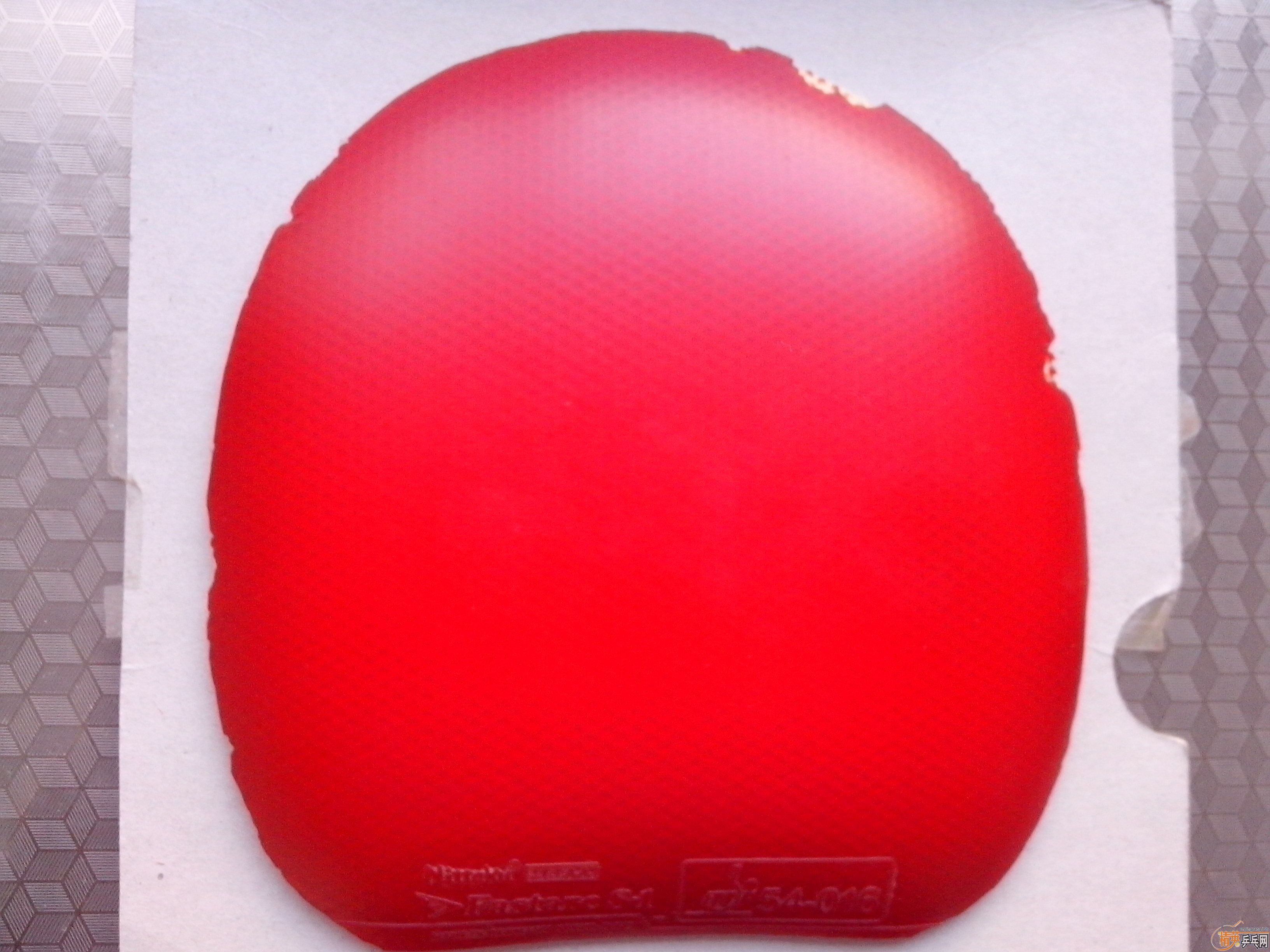 ��������S-1������450�׽�