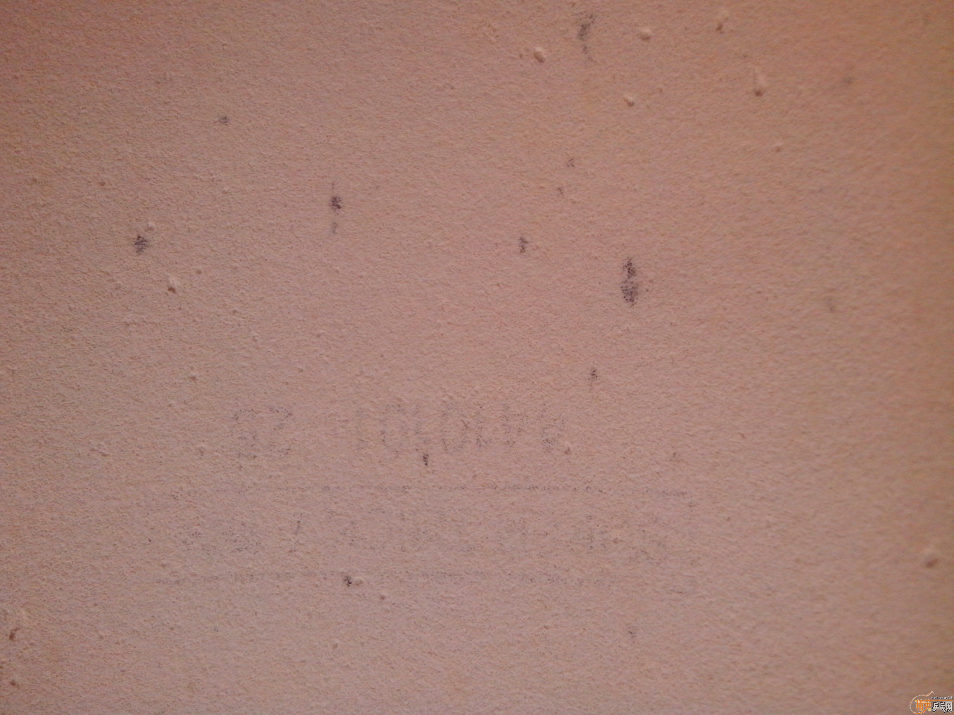 ��������S-1������450�׽�