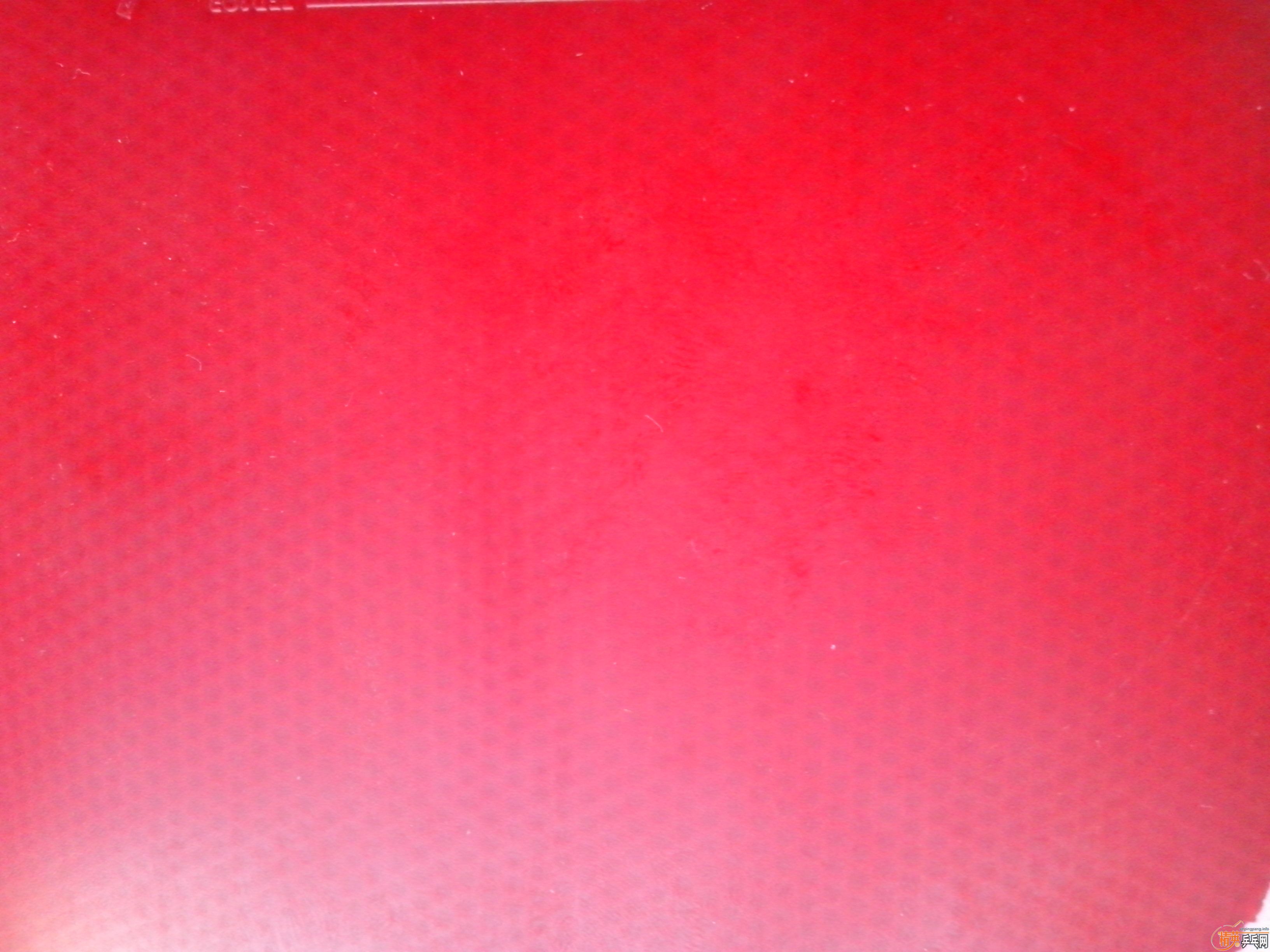 ��������S-1������450�׽�