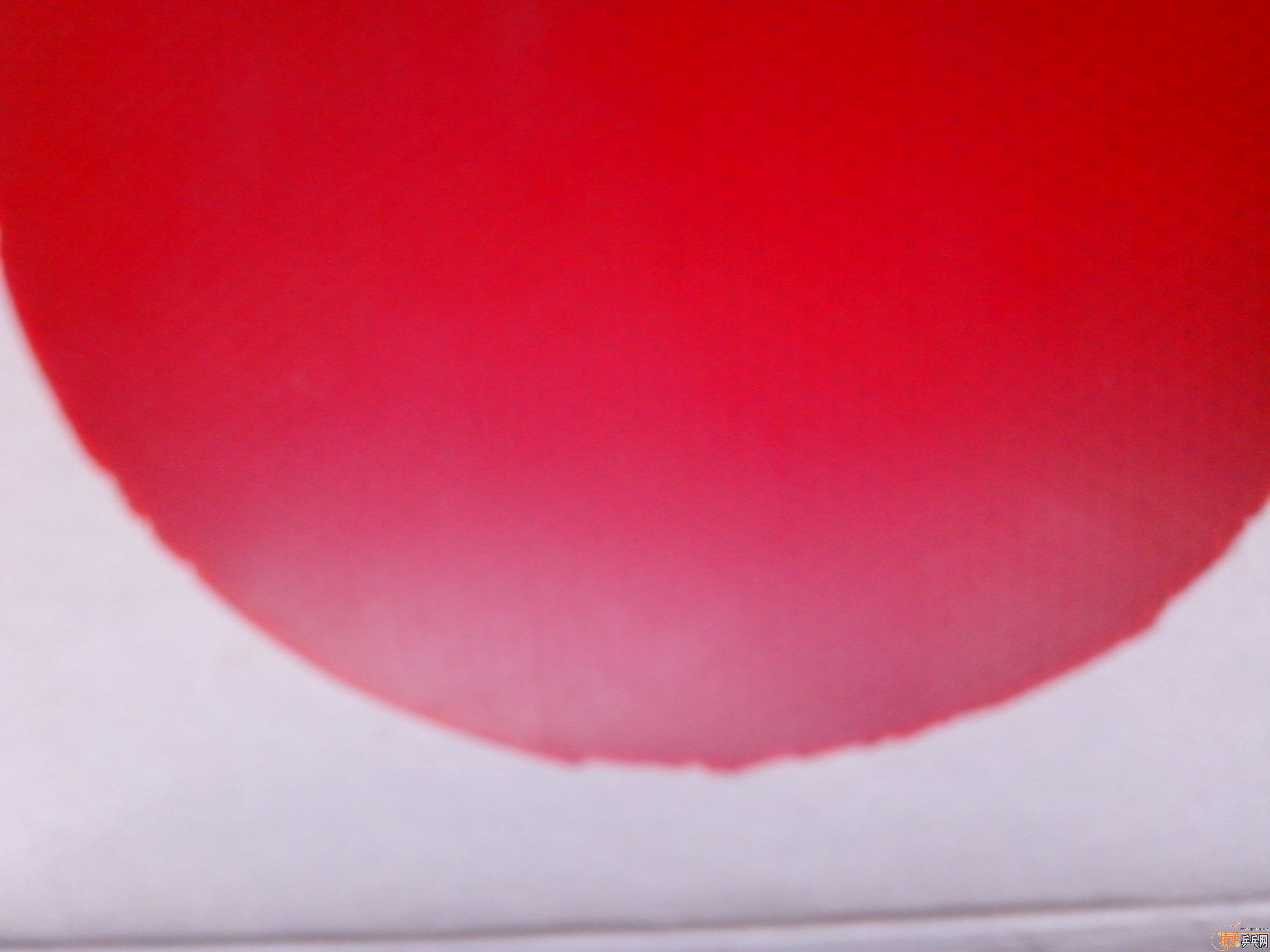 ��������S-1������450�׽�