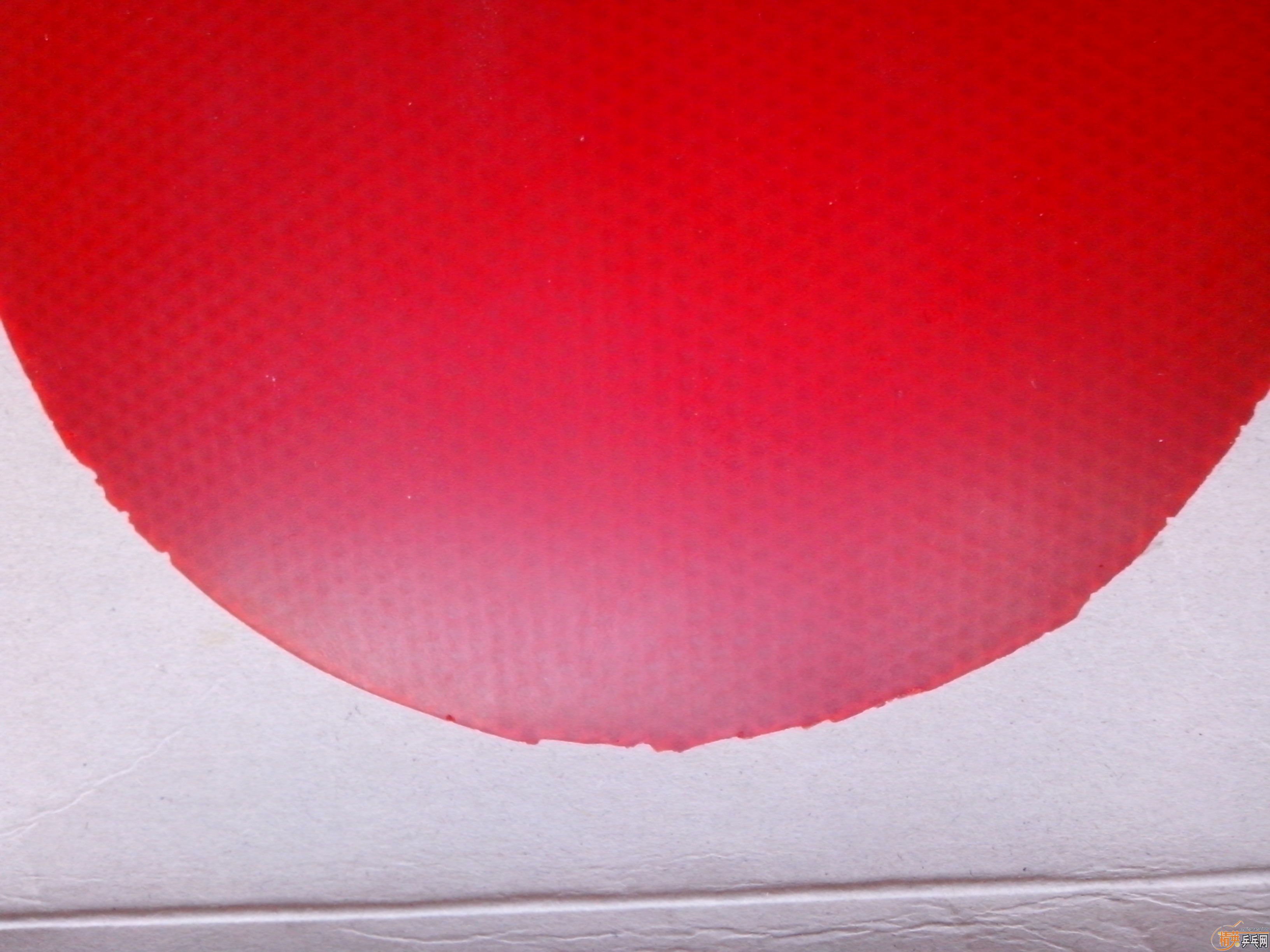 ��������S-1������450�׽�