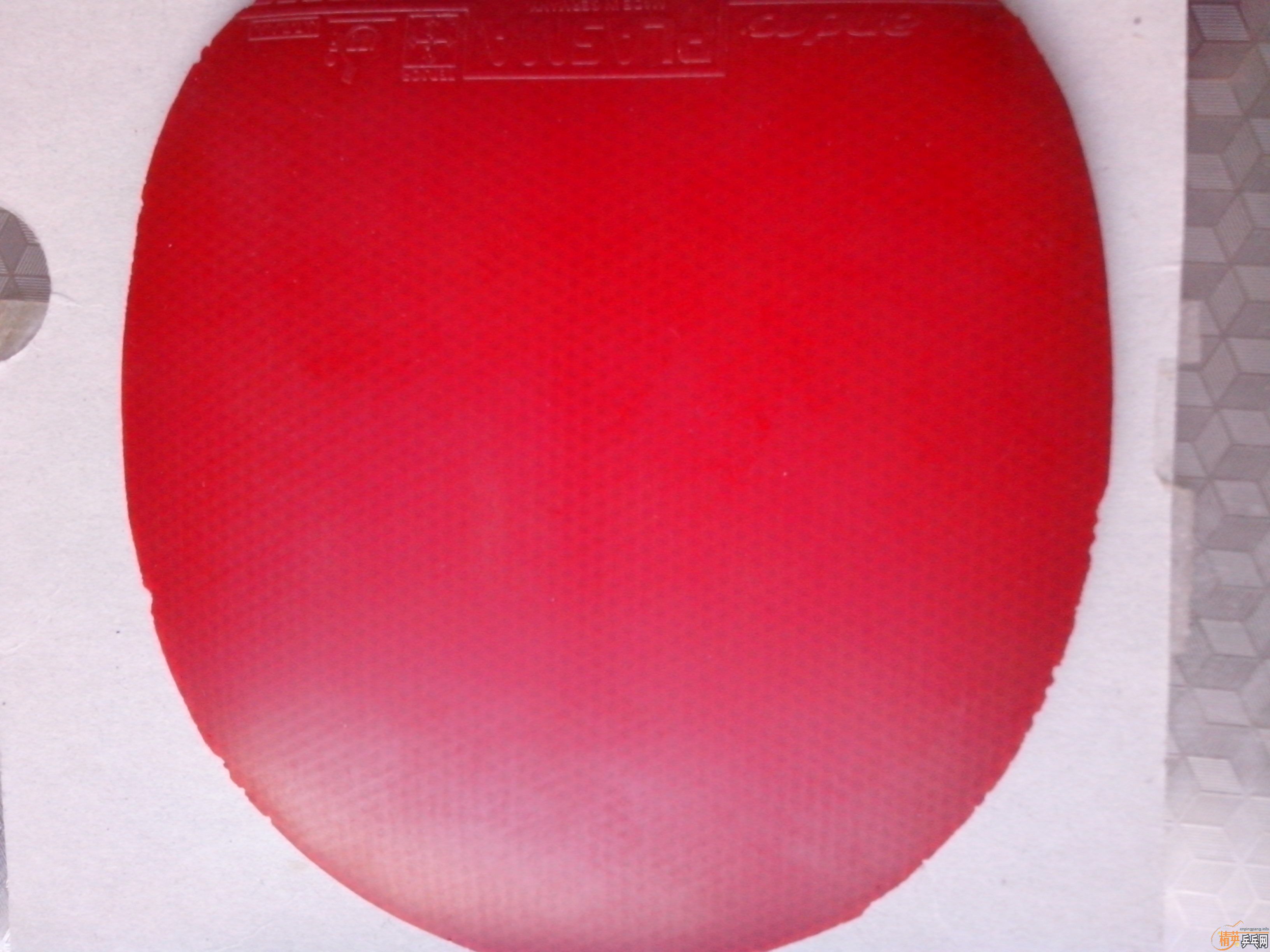 ��������S-1������450�׽�