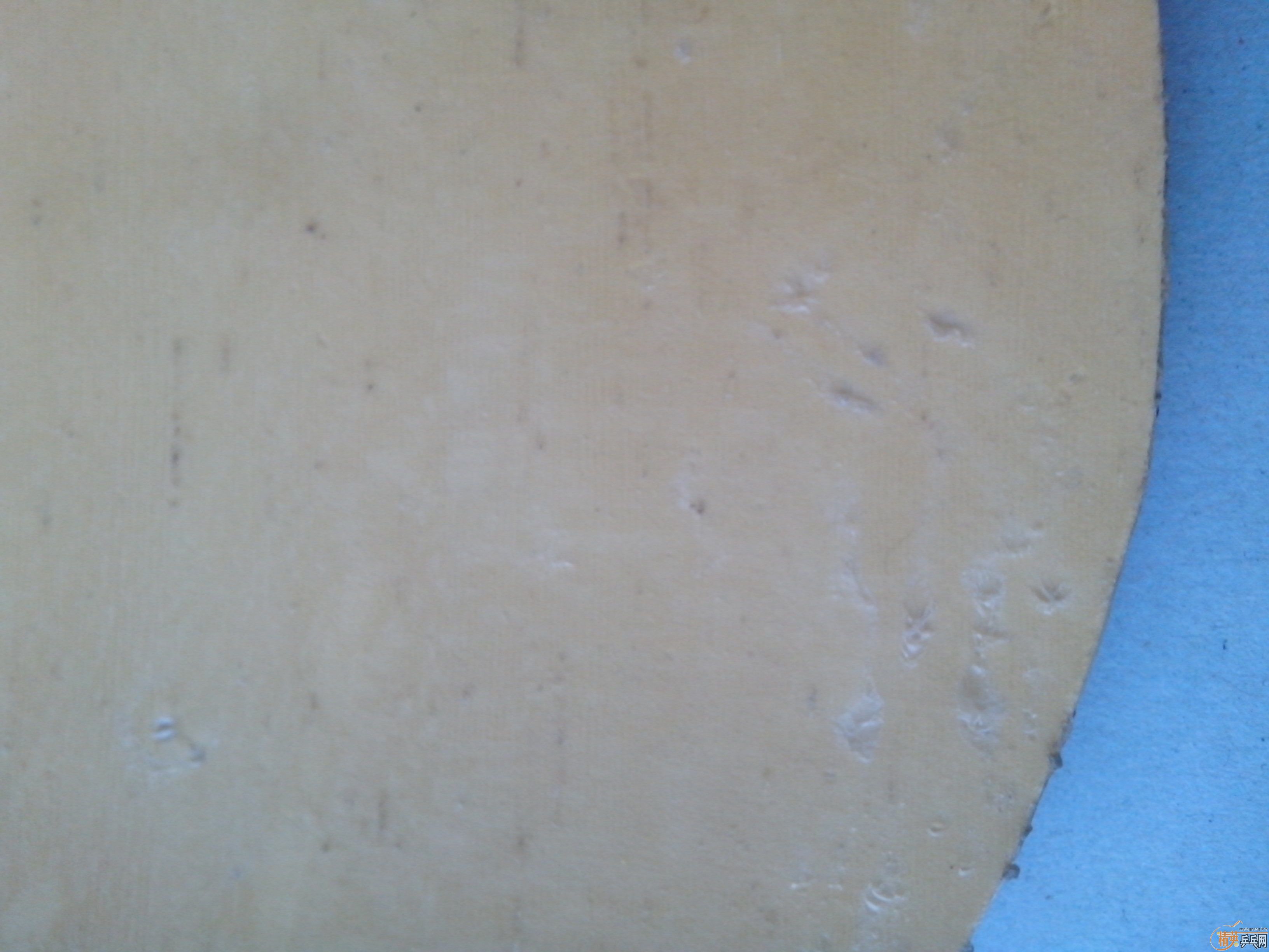 ��������S-1������450�׽�