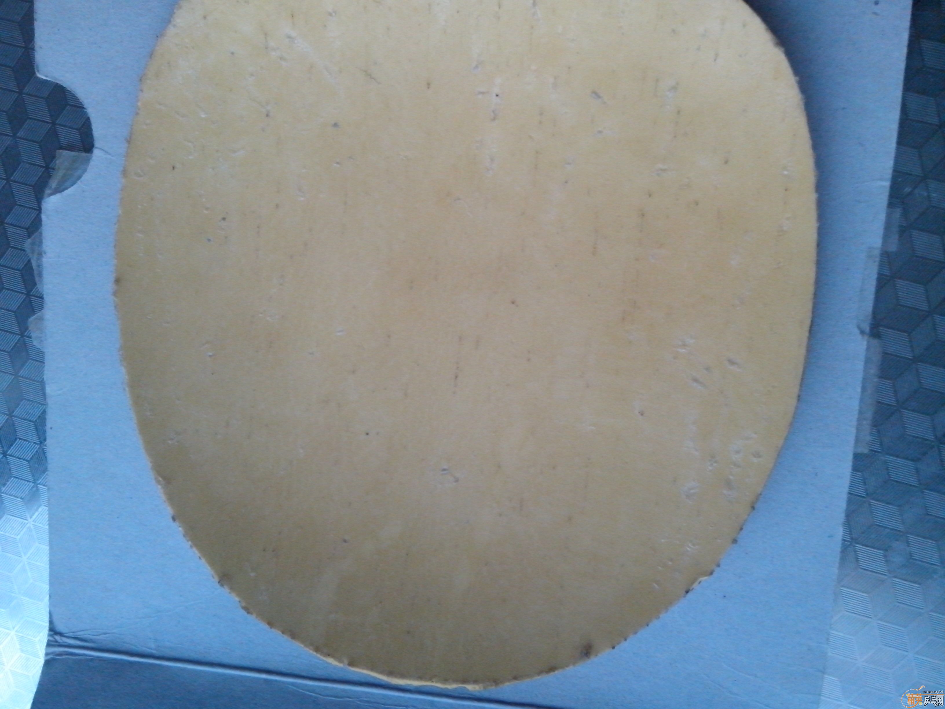 ��������S-1������450�׽�