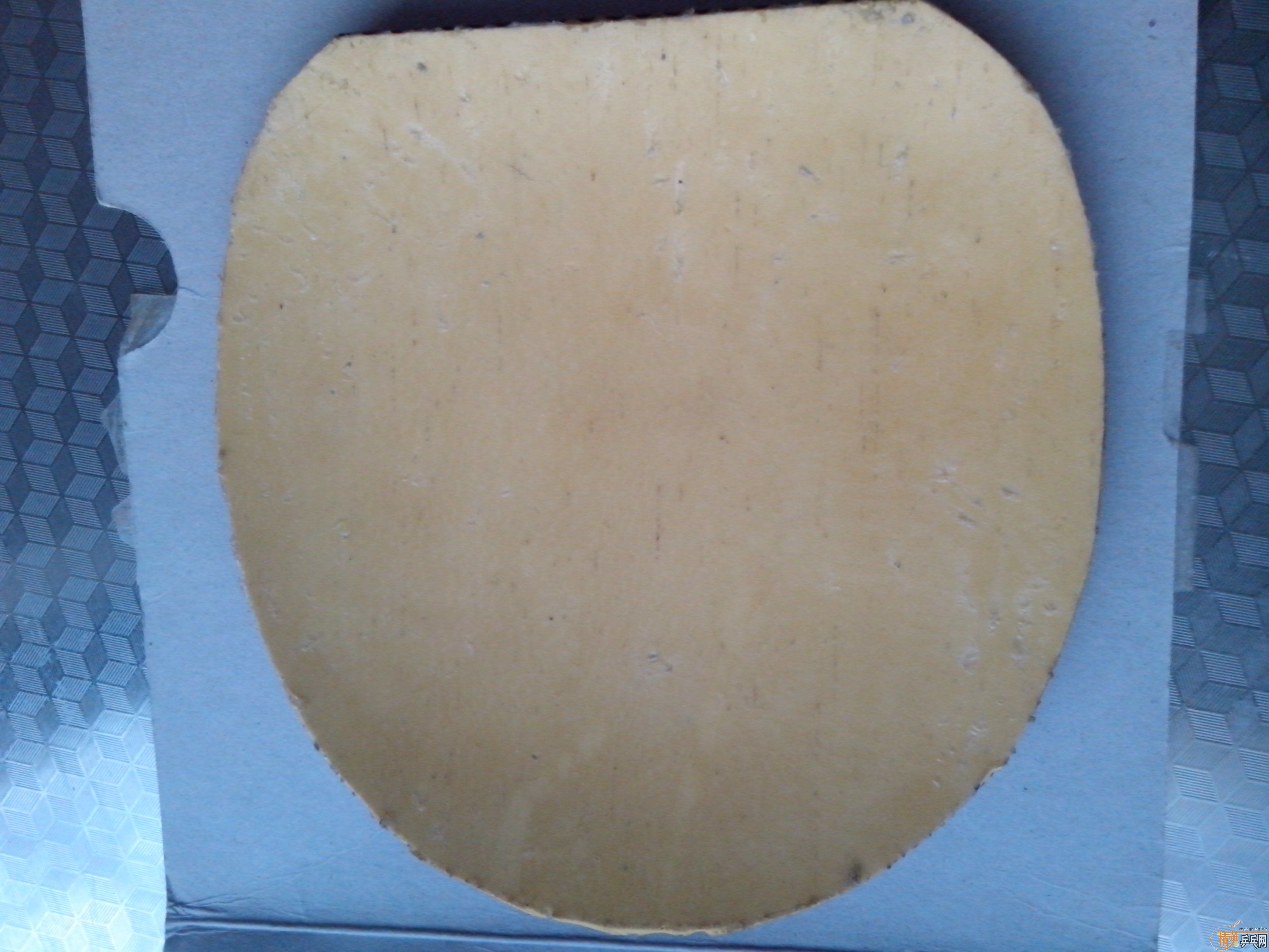 ��������S-1������450�׽�