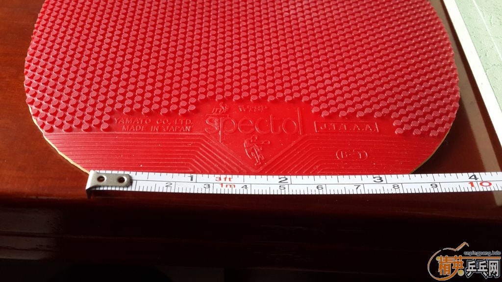 �� TSP ���� 20072 SPECTOL 21