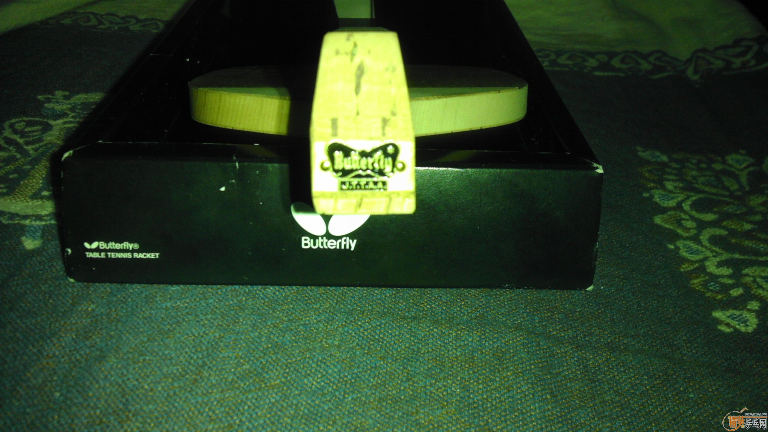 ����������С��SP 10mm