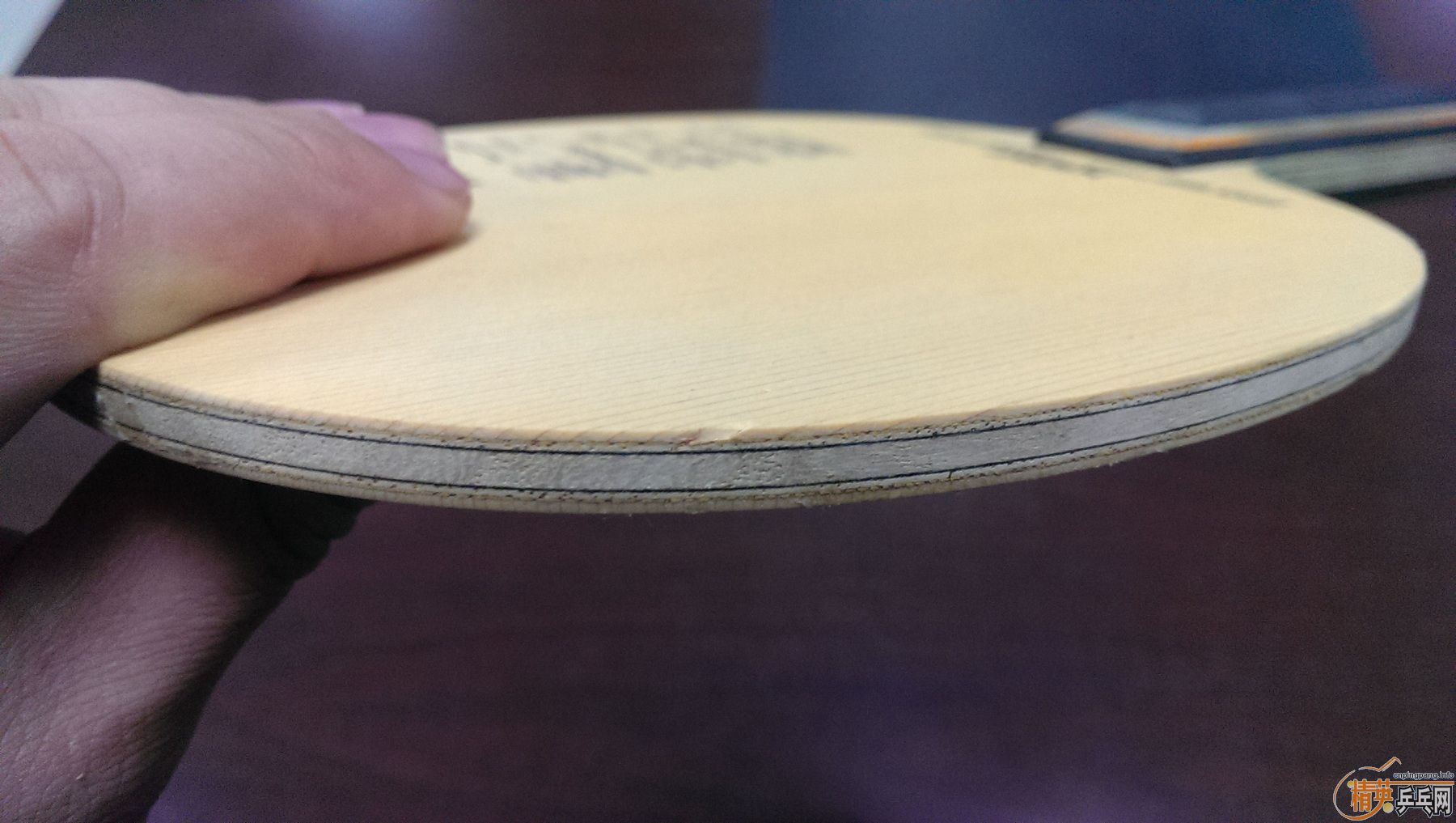 ~~~~~~~~~330���ʳ�һֻ����̼��~~~~~~~~~