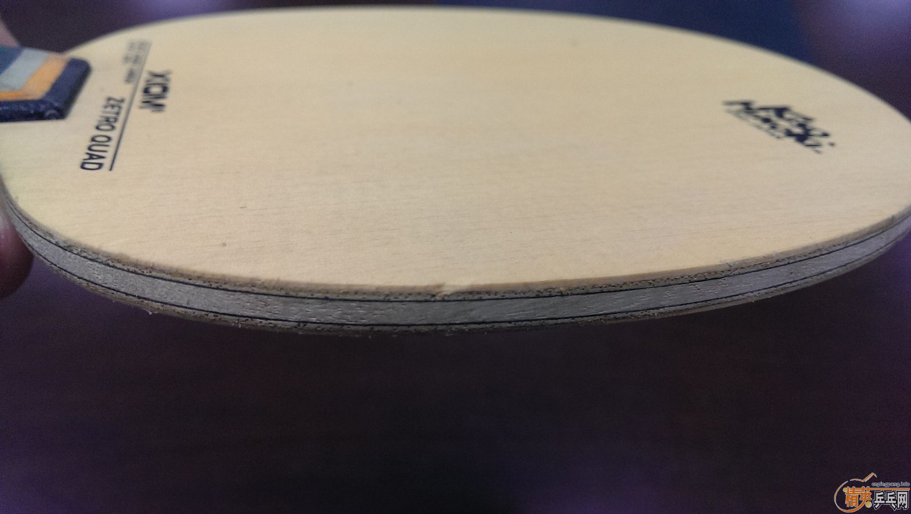 ~~~~~~~~~330���ʳ�һֻ����̼��~~~~~~~~~