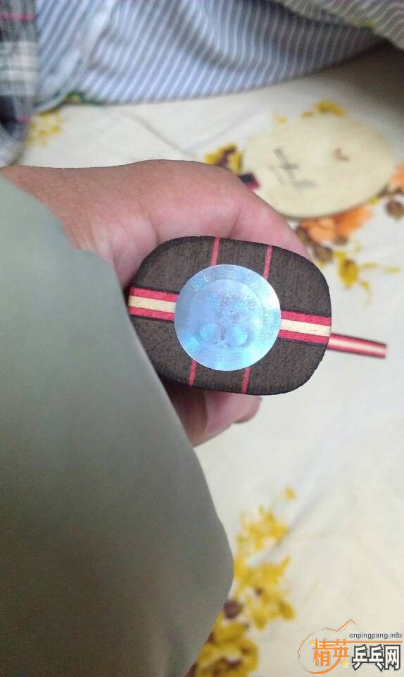 �л�SENSE7.6   560��˳��   ����һ���տ�3����Vŷ�ް���Դ��