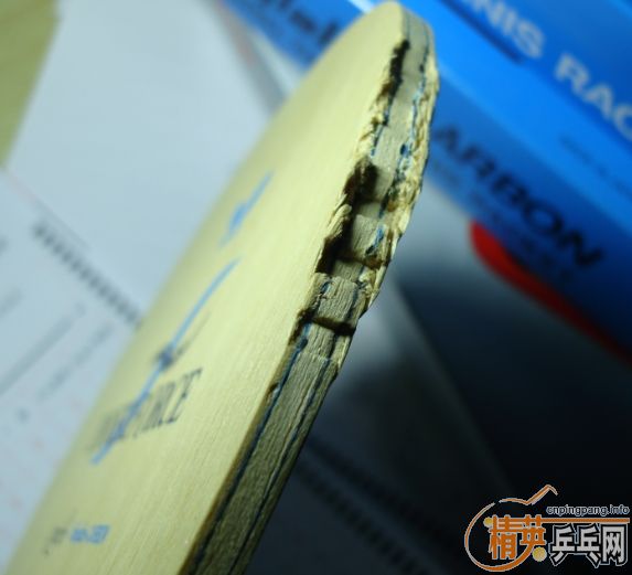 ��׳����������inner-alc    9������T80  39����  ��ɷ